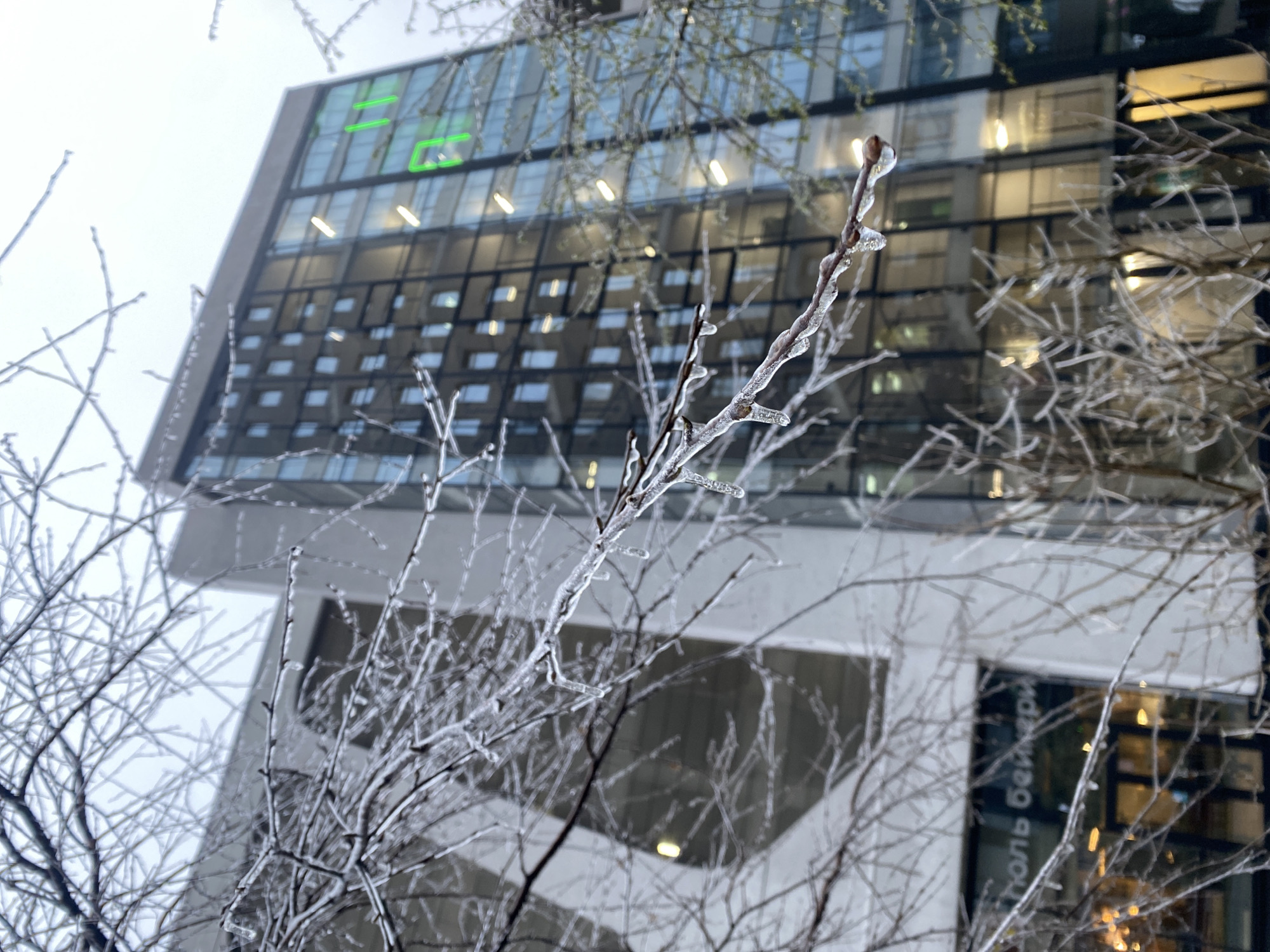 The image presents an urban scene in Yekaterinburg, Russia, characterized by the stark effects of an ice storm. In the immediate foreground, numerous bare tree branches are heavily coated in a thick, clear layer of ice, glistening against a bright, overcast sky. The ice has encased every twig and bud, creating intricate natural sculptures.
In the background stands a modern, multi-story building with a distinctive architectural style. Its upper section features a glass facade with many windows reflecting the muted daylight and some interior artificial lighting. A bright green illuminated sign is visible on an upper floor, displaying segmented letters or numbers, possibly "25" or "ZE" on the left and a "K" on the right. The lower part of the building has a lighter-colored, possibly concrete or stone, facade with dark-framed windows.
A notable detail is the reversed Cyrillic text reflected on a lower window, reading "толь Бейкер". Given the Yekaterinburg location, this is Russian, with "Бейкер" meaning "Baker," suggesting a business or a name associated with a bakery or similar establishment.
The scene conveys a cold, winter atmosphere. The extensive ice on the branches is the primary indicator of recent freezing rain or an ice storm. The time of day appears to be daylight, likely under heavy cloud cover given the bright, uniform sky. No people are visible in the photograph.