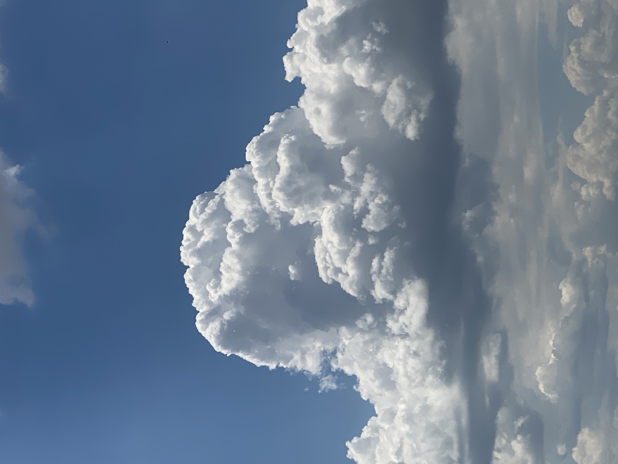 A wide shot captures a deep blue sky filled with an array of dynamic white and gray clouds. The clouds are characterized by their fluffy, textured appearance, with some areas appearing bright white and others darker, suggesting varying densities and depths. In the upper right quadrant of the sky, a small, dark, indistinct object is visible, possibly a bird or an insect, though its precise nature is unidentifiable. The overall scene suggests a bright, sunny day with scattered cloud cover, indicative of a temperate climate common in cities like Cahul, Moldova, which is geographically located in the southern part of the country. The image is devoid of any human presence or structures, focusing solely on the natural atmospheric phenomenon.