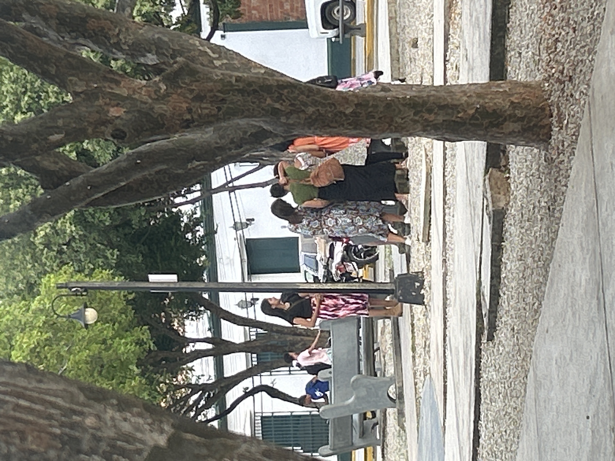 The image depicts a street scene in Santa Ana, Venezuela, likely a public square or park, given the presence of benches, trees, and paved pathways. In the foreground, a large tree trunk partially obstructs the view. A group of people are gathered in the mid-ground, with several women wearing dresses and one woman in a black shirt and a patterned skirt. One woman is holding a brown backpack. Behind them, a motorcycle and a white vehicle are visible. In the background, there are buildings with white walls and green window coverings, along with more trees and a lamppost. Two boys are seen near the benches on the left side of the image; one is wearing a blue t-shirt and the other a pink t-shirt. The ground is covered with gravel and concrete pathways.