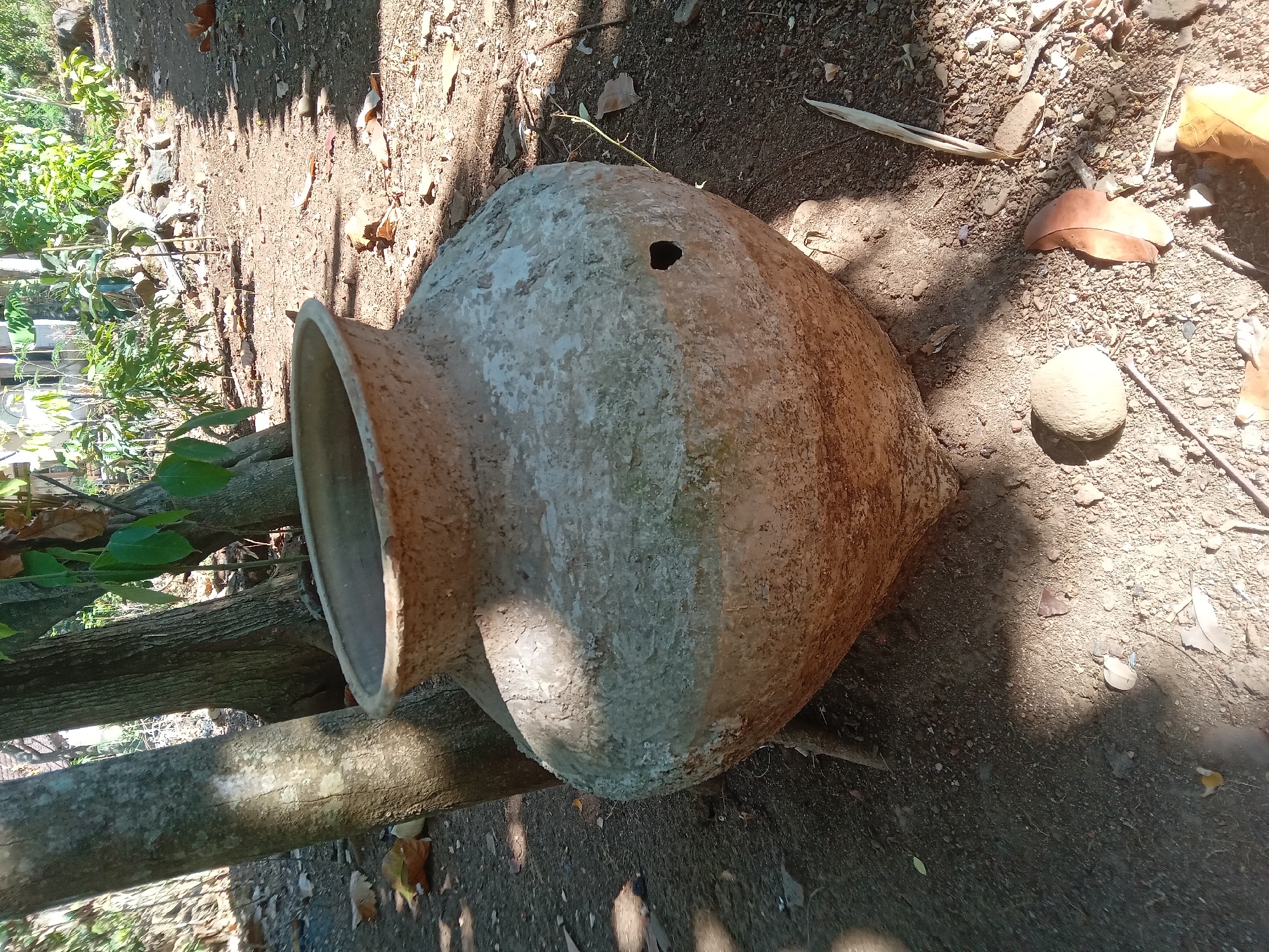 A large, weathered, clay pot with a broken hole sits outdoors on dry, sandy ground, next to the base of two trees. The pot is roughly spherical with a narrower opening at the top. Its surface is textured and appears to be covered in a light-colored, almost chalky material, with patches of grey and brown. The environment is dappled with sunlight and shadow, suggesting it is daytime. Scattered dry leaves and small stones are visible on the ground. In the background, a path leads into a densely vegetated area with various plants and trees, and what appear to be buildings or structures further in the distance. There are no people or animals visible in the image. The scene is consistent with an outdoor setting in a tropical or subtropical climate, possibly a yard or garden area within Kedunggudel, Indonesia.