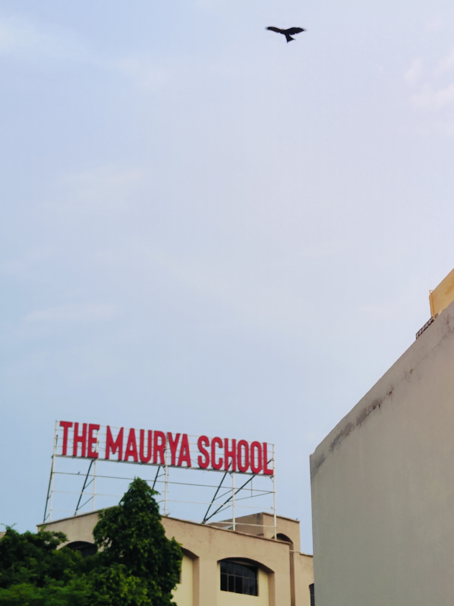 A lone bird is captured mid-flight against a pale blue, overcast sky, its silhouette stark against the diffused light. Below, the red, block lettering of "THE MAURYA SCHOOL" stands out prominently on a white signboard. The school building, a light beige structure, is partially visible with dark-framed windows and lush green trees in the foreground. To the right, a portion of another building, a lighter, muted tan color, with a distinctly angled wall and a yellow element at its top, dominates the right side of the frame. The scene appears to be an exterior shot taken during daylight hours.
