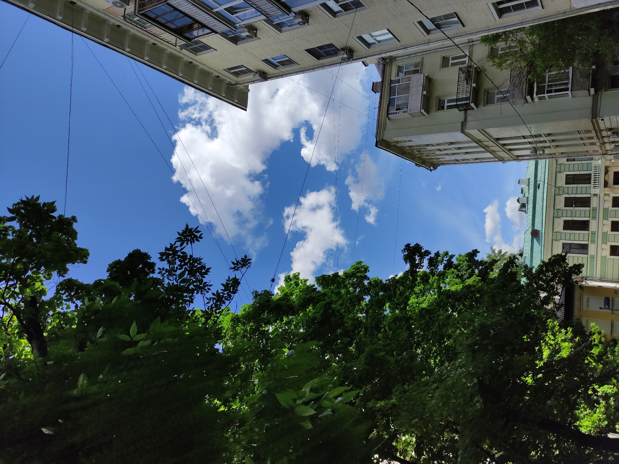 The image captures an upward-angled perspective within an urban environment. Overhead, light-colored buildings flank a view of a bright blue sky dotted with fluffy white clouds. Numerous wires stretch between the buildings. At the bottom of the frame, a dense canopy of green trees partially obscures the lower portion of the buildings and sky. The location is in the city of Unknown, Unknown.