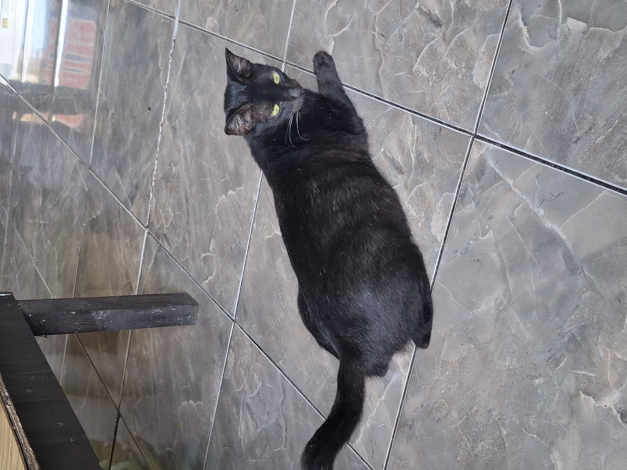 A black cat with green eyes is lying on a tiled floor in what appears to be an outdoor shaded area, possibly a patio or veranda, adjacent to a wooden structure. The floor tiles are large and grey with a marble-like pattern. The wooden structure is dark-colored and has visible legs. The lighting suggests it is daytime. The location is identified as Cibadak, Indonesia. There are no people present in the image.