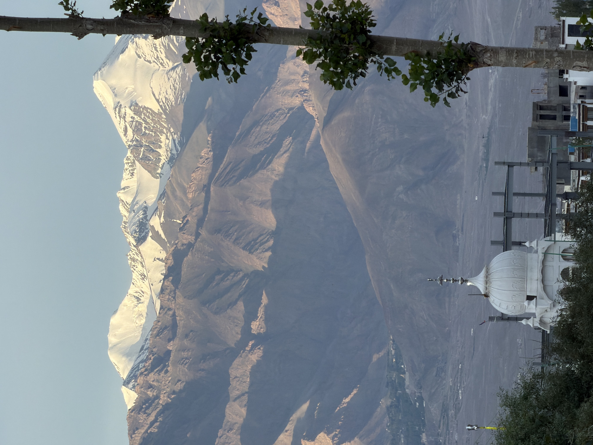 The image depicts a panoramic view of the city of Leh, India, with a focus on its mountainous backdrop and a prominent white domed structure in the foreground. The snow-capped peaks of the Himalayas dominate the upper portion of the frame, bathed in the soft light of what appears to be late afternoon or early morning. The mountains exhibit rugged terrain with deep valleys and shadowed slopes, indicative of a high-altitude desert environment.
In the mid-ground, the city of Leh stretches out, a collection of buildings nestled within the valley. The white domed structure, possibly a temple or a gurudwara, stands out due to its bright color and intricate architectural details. It is topped with a finial and surrounded by smaller decorative elements. Adjacent to this structure, the skeletal framework of an incomplete building is visible, suggesting ongoing construction in the area. The lower foreground is partially obscured by the foliage of a tall tree with sparse green leaves, its trunk textured and weathered. The sky above is a clear, pale blue, fading into a lighter hue near the horizon. The overall impression is one of serene natural beauty contrasting with human development.