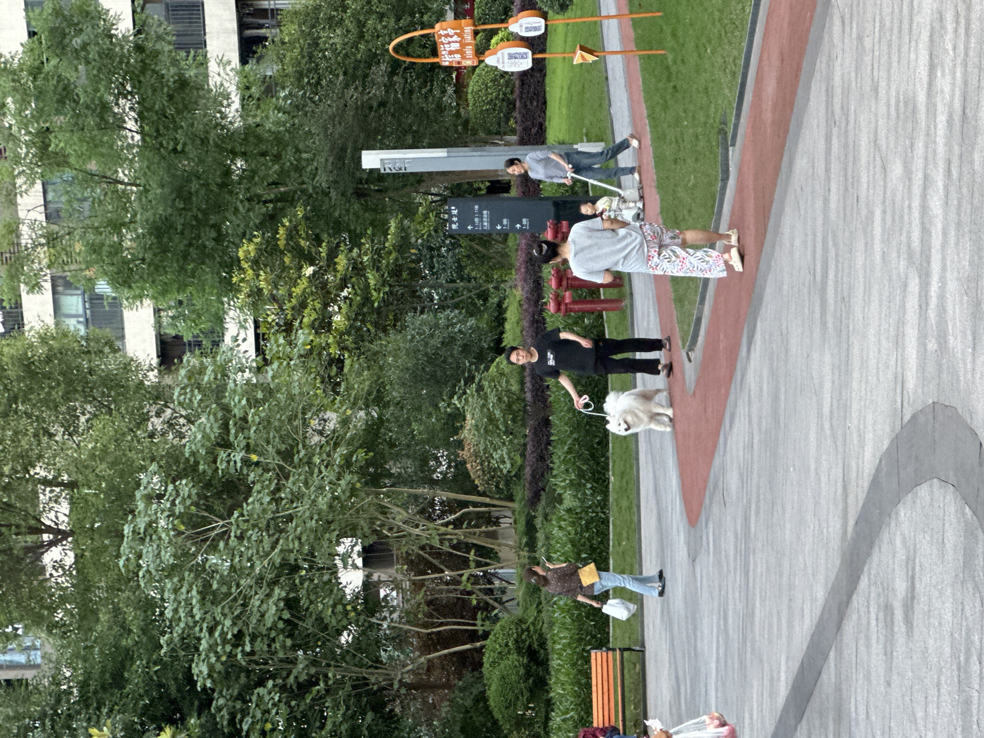 The image shows a street scene in Chongqing High-tech Zone, China. A paved walkway runs through a park-like area with trees and greenery on either side. Several people are present: one individual is walking a large, white dog; another man is using a tool, possibly for cleaning or maintenance; a woman in patterned pants stands near two other individuals. A sign with Chinese characters is also visible. Other objects include benches, manicured greenery, and building facades in the background.