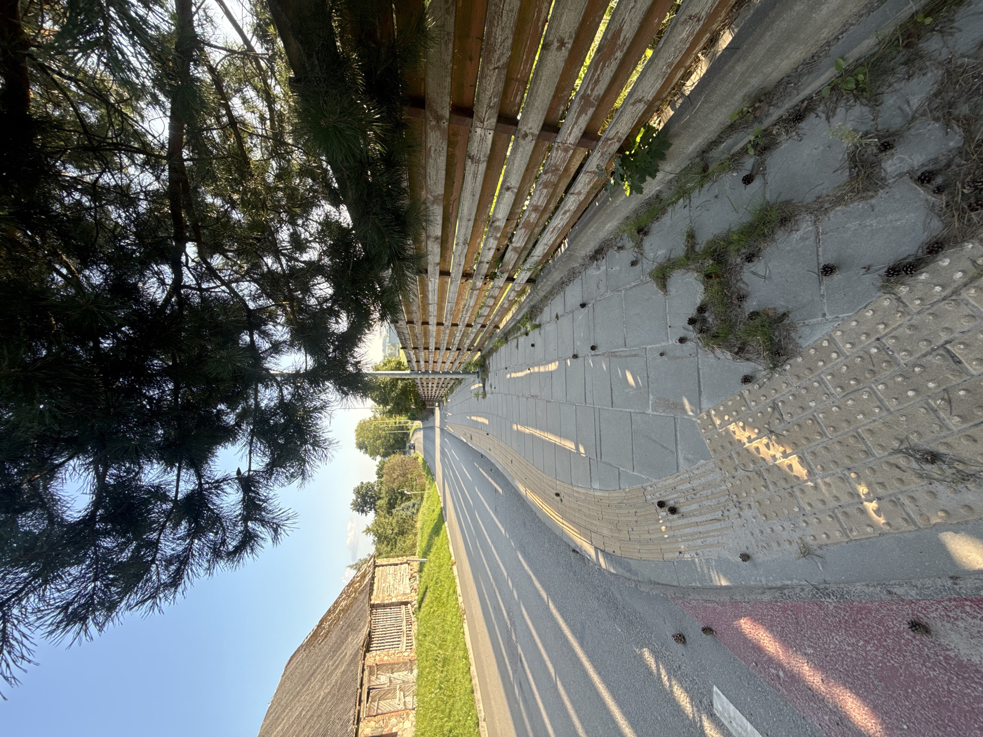 The image shows a street scene with a sidewalk lined by a wooden fence. A large pine tree extends from the upper right, casting shadows on the pavement. The street curves to the left, with a grass embankment and a building on the left side. The sidewalk has tactile paving, indicating it is likely a public walkway. Pinecones are scattered on the sidewalk and along the edge of the fence. The sky is clear and blue, suggesting a daytime scene. The building on the left appears to be old, with wooden siding and a weathered roof. A car is visible in the distance on the street. The overall impression is a quiet, rural or suburban street in Galinė, Lithuania, during daylight.