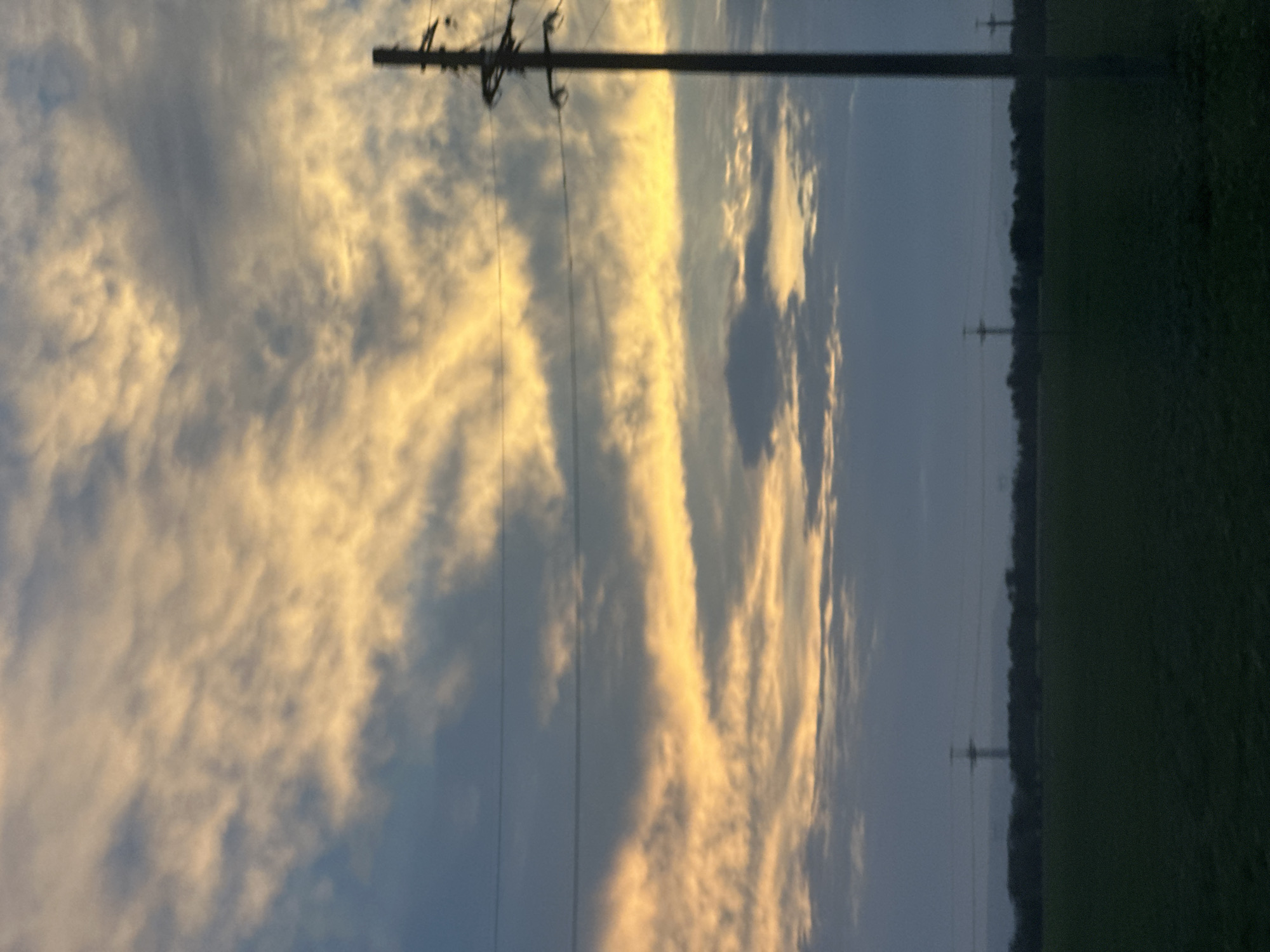 The image depicts a landscape scene, likely taken at dusk or dawn. The sky is filled with clouds, illuminated by a warm, golden light, suggesting the sun is low on the horizon. In the foreground, a dark green field stretches across the bottom of the frame. A tall, dark utility pole with wires is positioned to the right side of the image. In the distance, a treeline forms a dark silhouette against the lighter sky, and several other utility poles are visible along the horizon. The overall impression is one of a rural or semi-rural setting under a dramatic sky. This scene is consistent with locations in Zavetnoe, Russia, which is known for its agricultural landscapes and utility infrastructure.