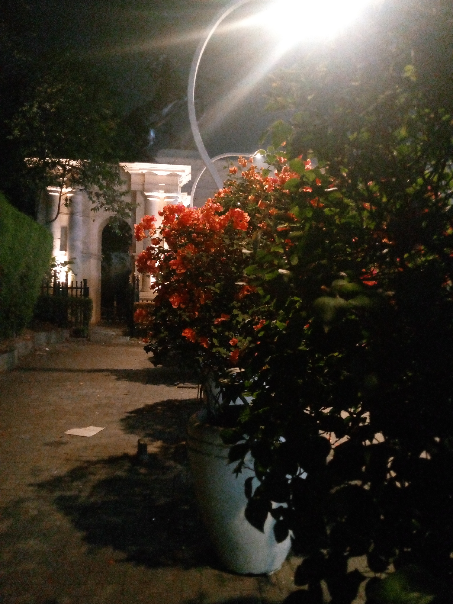 The image depicts an outdoor scene at night, illuminated by a bright streetlight overhead. In the foreground, a large planter holds a bush with vibrant red flowers and dark green leaves. To the left, a paved pathway leads towards a structure with arched entrances and columns, suggesting a building facade or gateway. A dark green hedge lines the left side of the pathway, and a black metal fence is visible in front of the building. Shadows are cast across the pathway from the surrounding foliage and the overhead light. The scene appears to be in a landscaped area, possibly a garden or public space, with a focus on the interplay of light, shadow, and the natural elements of the plants. The location is identified as Bitung Jaya, Indonesia.