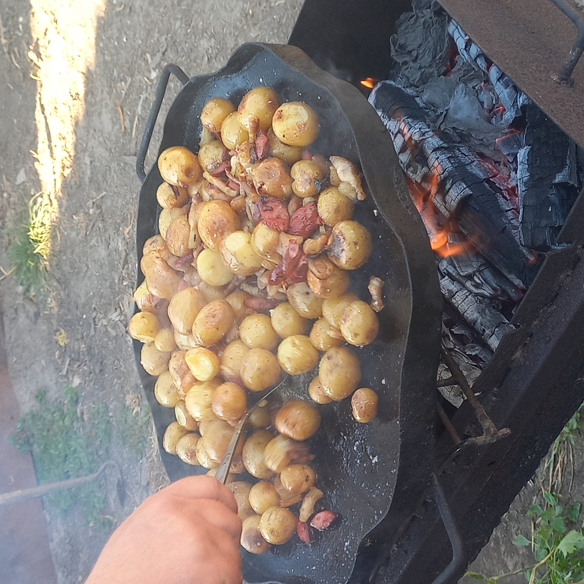 A person's hand is visible in the upper left corner, holding a metal utensil as they stir a large quantity of small, whole potatoes being cooked in a round, dark metal pan over an open fire. The pan is positioned above a fire pit containing glowing embers and burning wood. The potatoes appear to be partially cooked and are mixed with pieces of what looks like bacon or sausage. Smoke is rising from the pan. The background shows an outdoor environment with dirt ground, some sparse greenery, and dappled sunlight. The scene is likely a casual outdoor cooking or camping setting, possibly in Klyntsi, Ukraine.