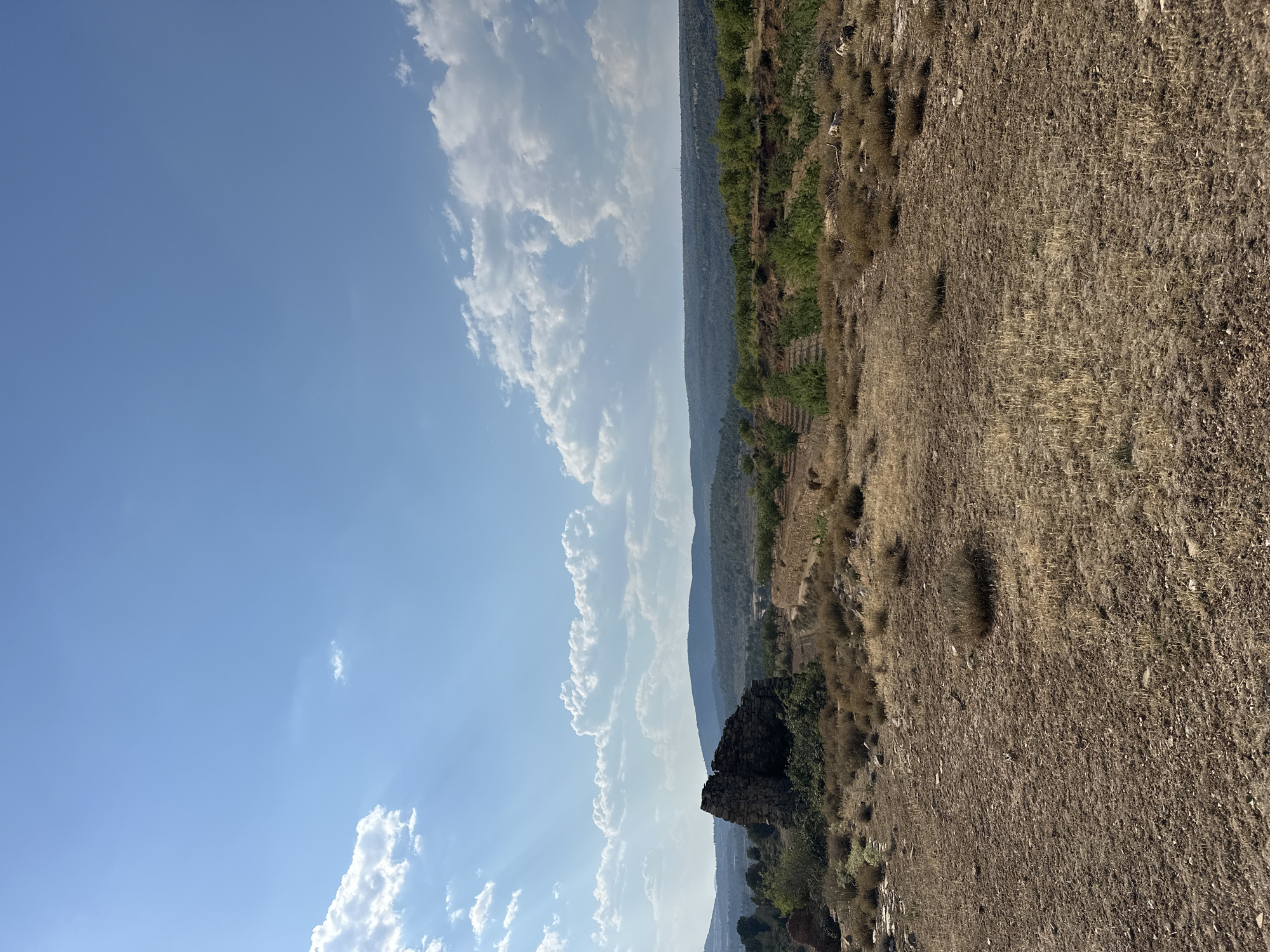 The image depicts a dry, arid landscape under a bright blue sky with scattered white clouds. In the foreground, the ground is covered in dry, brown earth and sparse, dry vegetation. A prominent feature in the mid-ground is a weathered stone structure, appearing to be the remains of a building, with a dark, rough texture. To the right of this structure, a terraced hillside is visible, planted with rows of small trees, possibly an orchard. Further in the distance, rolling hills covered in green vegetation stretch towards the horizon, under a hazy sky. The overall impression is one of a rural, possibly historical, setting in a dry climate. While the prompt mentions Alpuente, Spain, there are no specific visual cues within the image itself that definitively confirm this location.