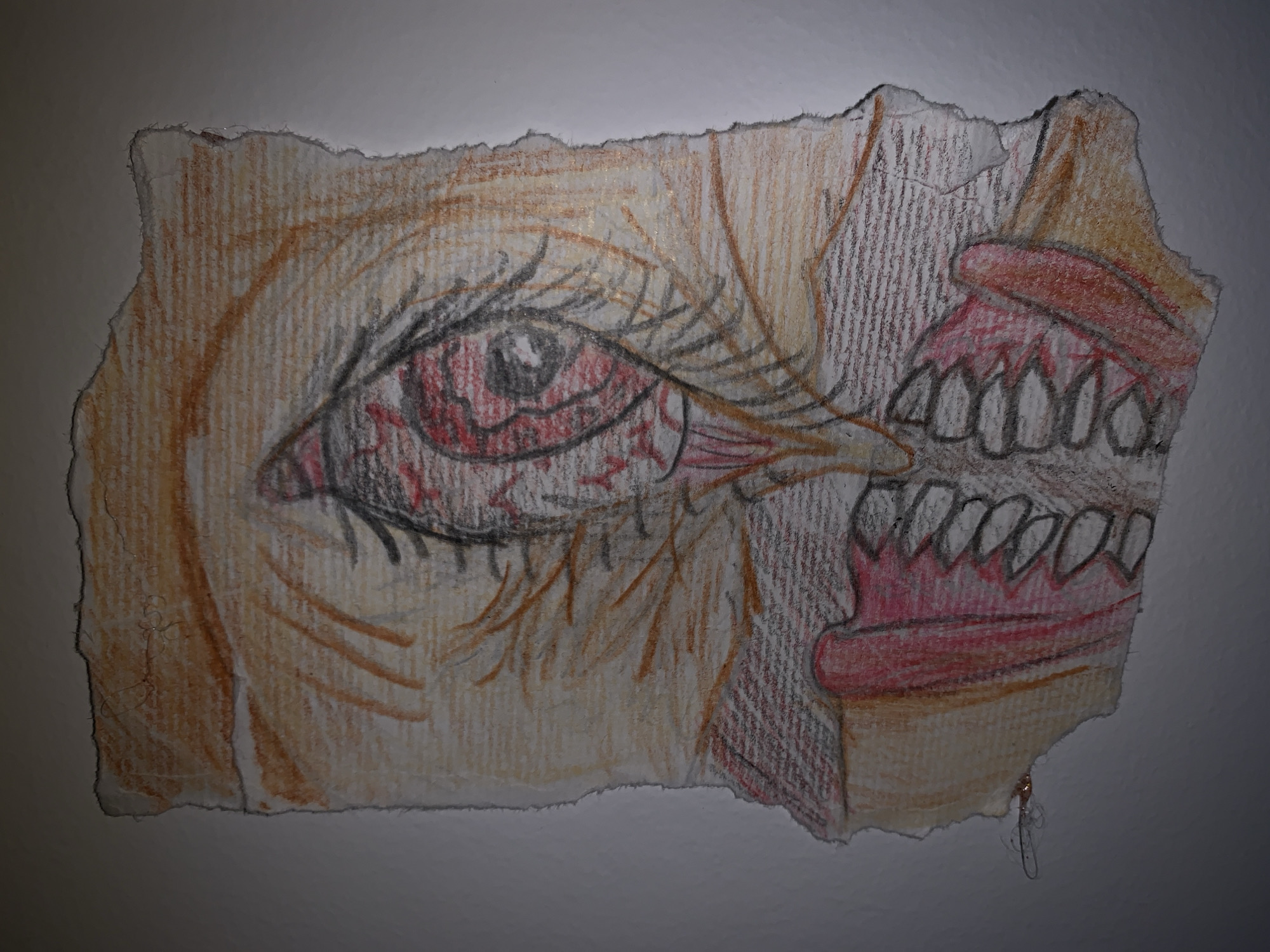 The image shows a drawing on a torn piece of paper. The drawing depicts a human face with exaggerated and unsettling features. On the left side, a bloodshot eye with dark eyelashes is visible. The surrounding skin is rendered in shades of brown and red. To the right of the eye is an open mouth with sharp, pointed teeth and red gums. The overall style is grotesque and unsettling. The background is a plain, neutral surface. There is no evidence to indicate this is located in Vozdovac Urban Municipality, Serbia.