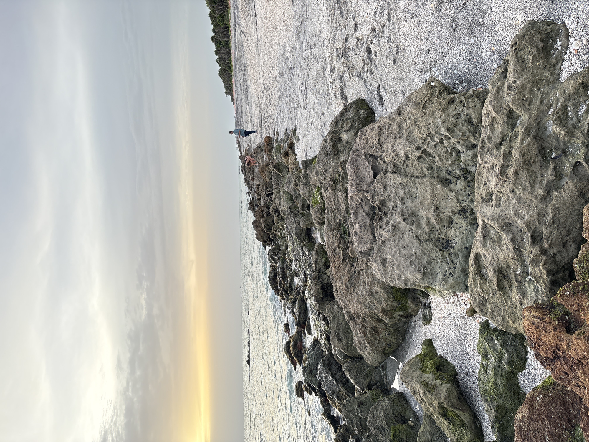 This image depicts a rocky shoreline on a beach in Venice, Florida, United States of America. The foreground is dominated by large, weathered rocks, some covered in moss. The beach itself is composed of small pebbles and shells, stretching towards a line of palm trees in the background. The ocean is visible on the left, with gentle waves lapping against the rocks. The sky is overcast with a hint of a sunset in the distance, casting a soft glow. Two individuals are present on the beach: one person, possibly a child, is crouched near the rocks, and another adult stands further down the beach, looking towards the ocean. The scene conveys a sense of tranquility and natural beauty.