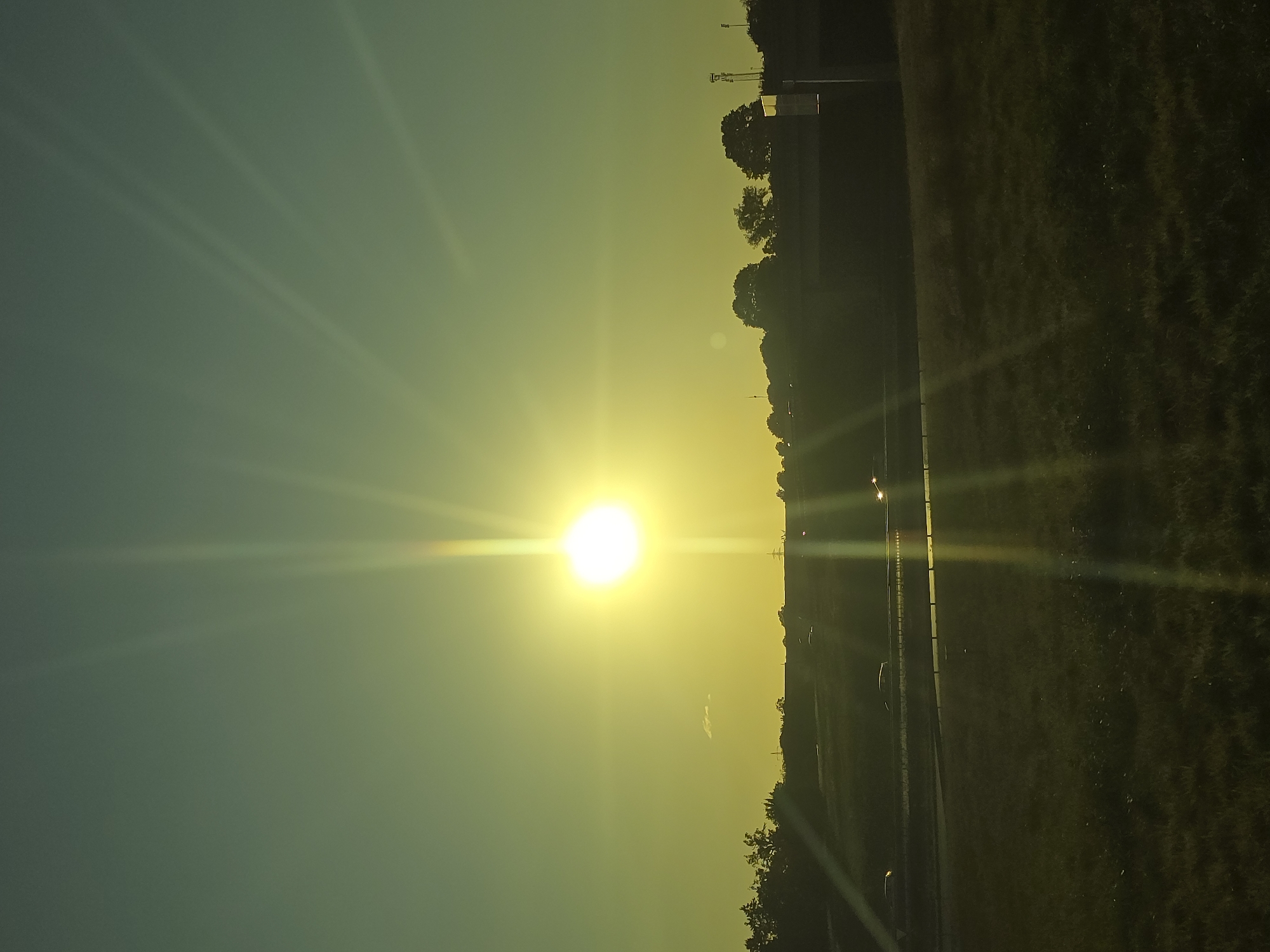 The image depicts a sun setting over a highway, casting a bright yellow glare across the sky and landscape. The sun is positioned in the upper center of the frame, with prominent rays extending outwards. The sky is a gradient of yellow and green, transitioning into a darker teal at the top. In the middle ground, a highway is visible with several cars driving on it, their headlights illuminated. The highway is bordered by a grassy embankment and a line of trees and power lines in the background, silhouetted against the sky. The foreground consists of a grassy field, also bathed in the warm light of the setting sun. The overall scene is one of a rural highway environment at dusk.