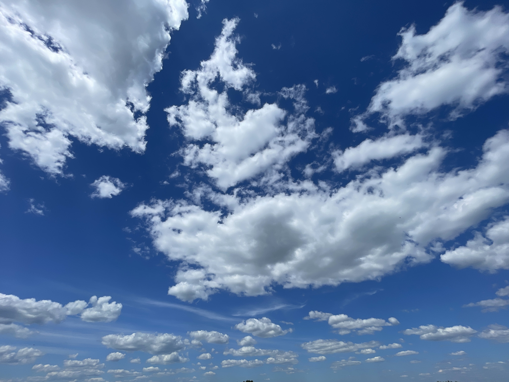 The image displays a clear blue sky filled with various white and gray clouds. The sky transitions from a deeper blue at the top to a lighter blue towards the bottom. Large, dense cumulus clouds occupy the upper left quadrant, exhibiting significant shadowing. Scattered smaller cumulus clouds are distributed across the middle and lower portions of the frame, some appearing flatter. Faint, wispy cloud formations are also present, particularly in the mid-right. Two minute, dark specks, likely birds or distant airborne objects, are discernible against the blue sky in the upper-middle and mid-left areas. A dark, indistinct line, possibly indicating a distant horizon or ground feature, is visible at the very bottom edge of the image. The scene is located in Unknown, Unknown.