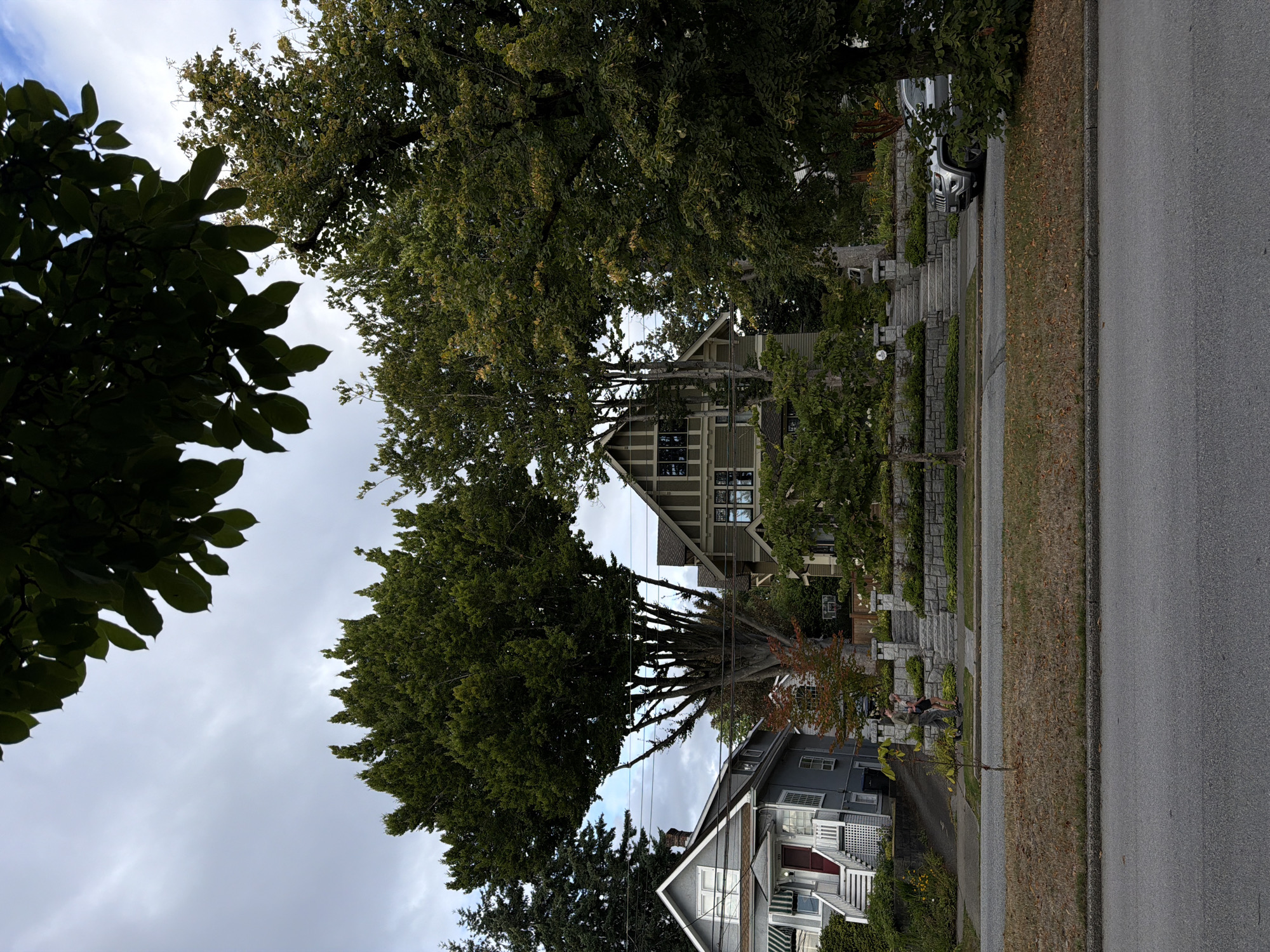 This is an outdoor, eye-level, medium shot of a residential street in New Westminster, Canada, under a cloudy sky. In the foreground, a grey asphalt road is visible, with a strip of dry, light brown grass and fallen leaves separating it from the sidewalk. Two individuals, one appearing to be a male wearing a grey shirt and dark pants, and another, possibly a female wearing a dark top and shorts, walk together on the sidewalk. They are positioned in front of a retaining wall made of stacked grey stones, which supports a raised garden area. Behind the wall, a set of stone stairs leads up to a large, multi-story house with green siding and a gabled roof. To the left of this house is a smaller, two-story house painted grey with white trim and a red front door. Mature trees with dense green foliage are prominent throughout the scene, including a very large tree with a broad canopy that partially obscures the view of the houses. A silver SUV is parked on the right side of the street, in front of the large house and some landscaping. The overall scene depicts a quiet, tree-lined suburban street.