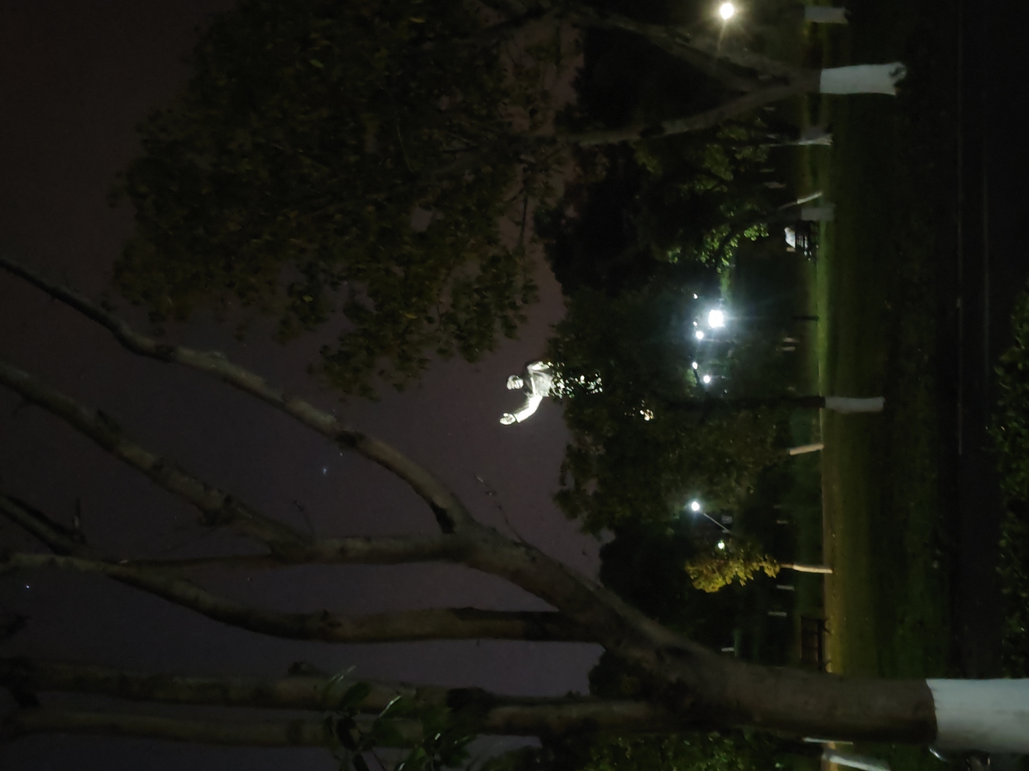 This media file depicts a night scene in an outdoor park or landscaped area within the Chongqing High-tech Zone, China. The image is oriented vertically, with the dark night sky occupying the left side and the ground/horizon line running along the right.
The foreground is dominated by the dark, intricate silhouettes of bare tree branches, which frame the central subject. Prominently featured against the dark sky is a brightly illuminated white statue of a human-like figure with outstretched arms, giving the impression of hovering or reaching.
To the right, where the ground is situated, are patches of dark green grass, illuminated by several bright streetlights. These lights cast glow on the foliage of other trees, some of which show discernible green leaves. A dark, paved path or road runs horizontally along the far right edge of the frame. Several tree trunks or poles in the mid-ground on the right side are marked with white bands.
The overall atmosphere is dark and peaceful, with the artificial lights providing distinct focal points. There is no visible human activity or text within the image.