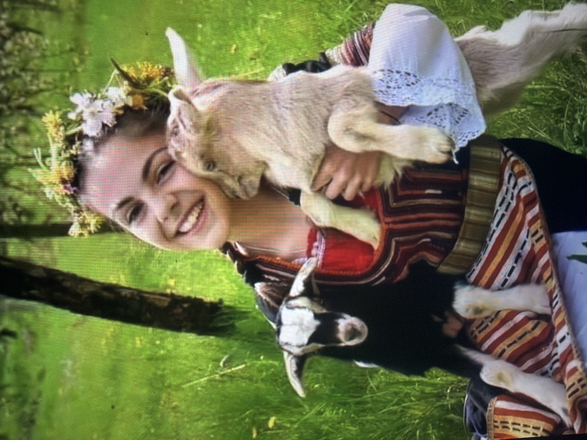 The image depicts a young female in an outdoor setting in Shumen, Bulgaria, holding two baby goats. The female subject, positioned centrally, is smiling and looking towards the camera. She wears a floral wreath composed of white, yellow, and green elements on her head. Her attire includes a garment featuring prominent horizontal stripes in red, orange, brown, and black, with a gold-colored waist accent.
In her right arm, a light-colored baby goat (kid) is held, its head turned towards the female's cheek, appearing to nuzzle her. A white, lace-like fabric is visible beneath this goat's hindquarters. In her left arm, a black and white baby goat is held, facing the camera. This goat has distinctive white markings on its forehead and nose, and small horns are apparent.
The background consists of a vibrant green, grassy field. A dark, vertical tree trunk is visible behind and to the left of the female subject. The overall image displays visible screen lines and pixelation, indicating it is likely a photograph of a digital display or a low-resolution digital capture.