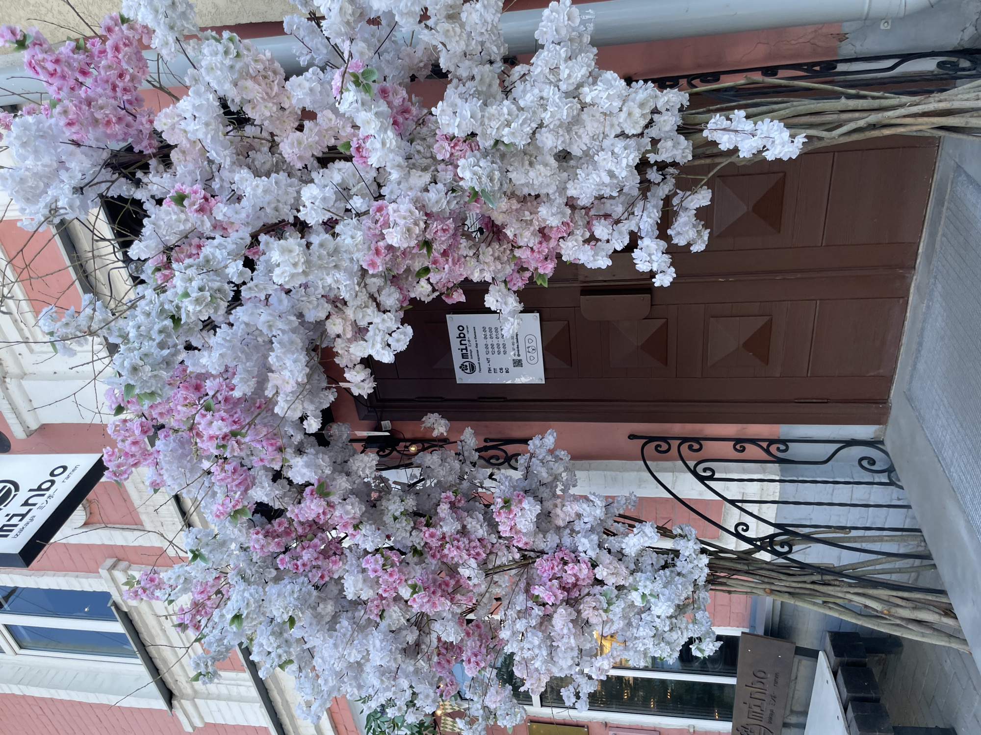 The image shows the entrance of a restaurant, "minbo Izakaya ミンボー ramen," located in Izhevsk, Russia. The entrance is decorated with a large arch of artificial white and pink cherry blossoms. A sign with the restaurant's name, hours of operation, and social media information is posted next to the door. The building is painted in a pale pink with white trim.