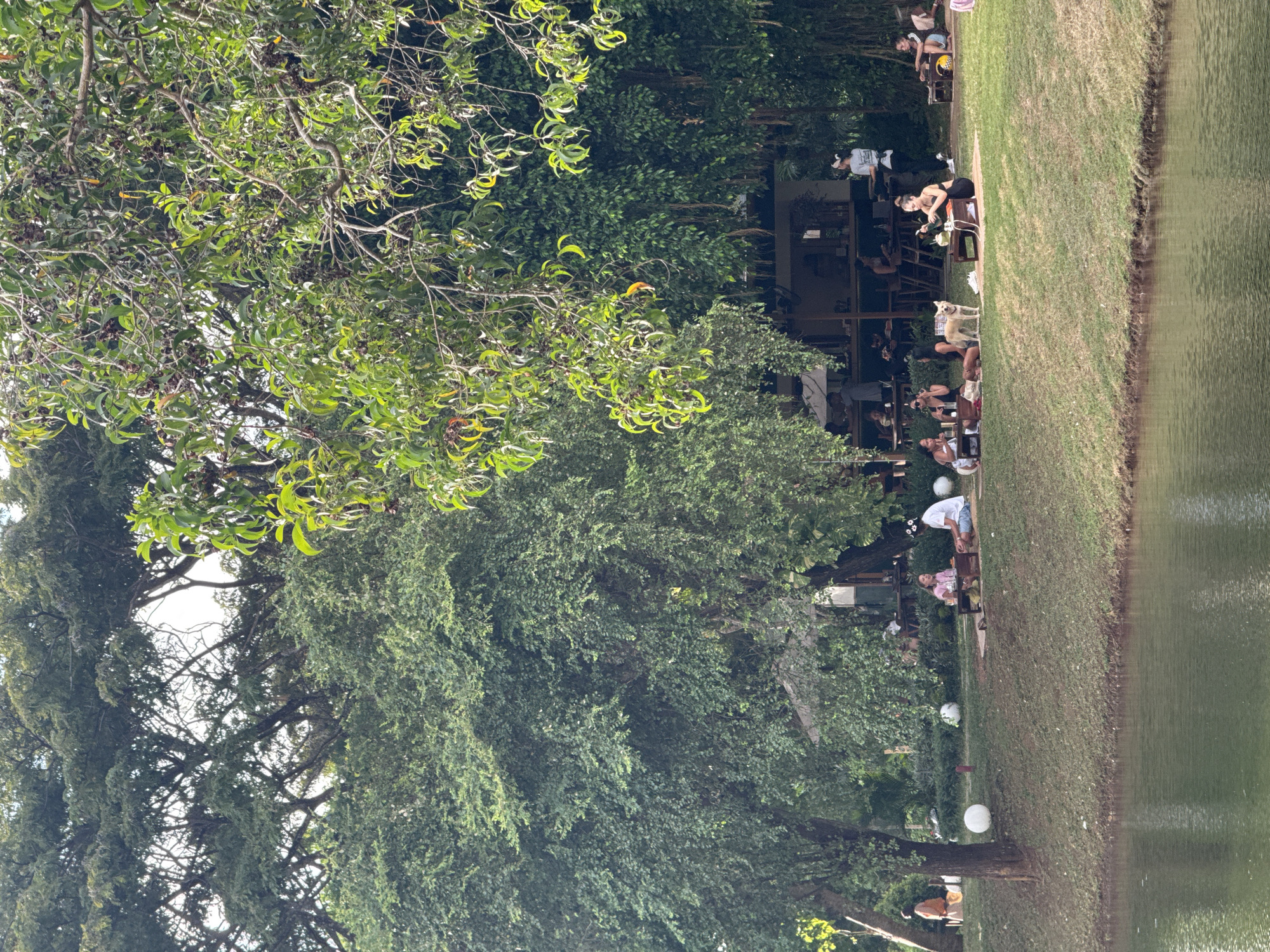 The image shows a lakeside scene in Kuta Selatan, Indonesia. People are seated at tables along the grassy bank of a lake. Lush green trees frame the scene, some branches extending over the seating area. A dog stands near a table with two people. The water reflects the surrounding greenery. Several white spherical lights are placed along the ground.