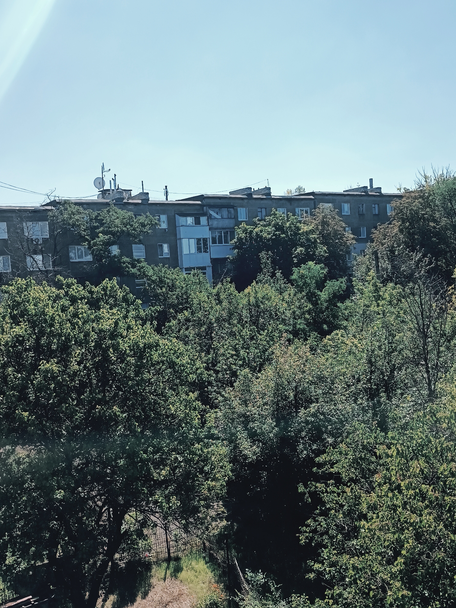 The image shows a view of an apartment building in Irmino, Ukraine, surrounded by dense green trees. The building appears to be a typical Soviet-era multi-story structure with a flat roof, several windows, and balconies. Various antennas and satellite dishes are visible on the rooftop. The trees in the foreground and obscuring parts of the building are lush and full, suggesting a warm season. The sky is clear and light blue. The scene depicts a residential area where nature has significantly encroached upon the urban landscape. There are no people visible in the image.