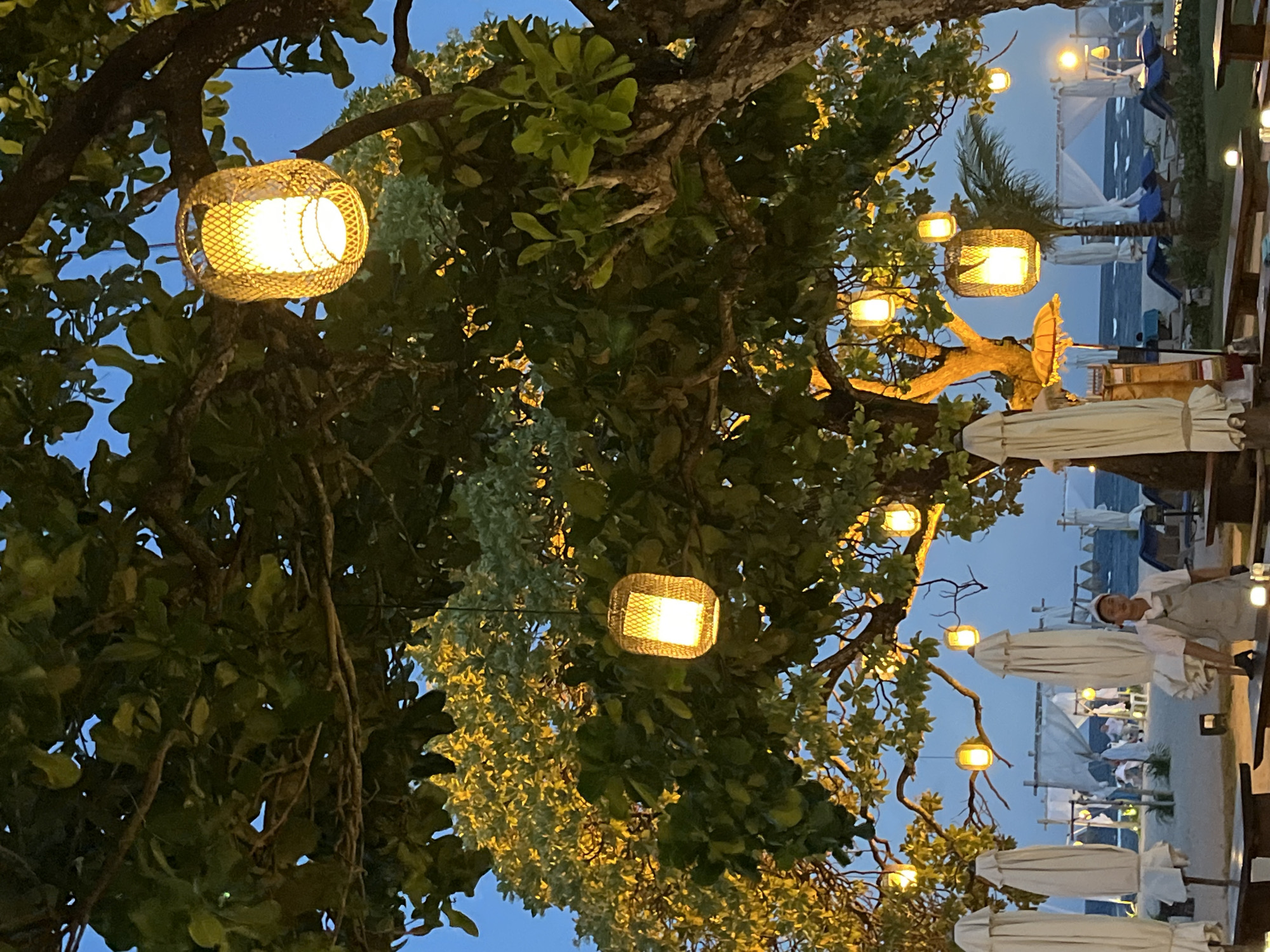 The scene shows an outdoor venue at dusk in Unknown, Indonesia. The view is angled upwards, featuring a large tree adorned with several lantern-style lights. The lights are emitting a warm glow. Behind the tree, glimpses of the venue include white parasols, chairs, and hints of the ocean. A person is visible in the background.