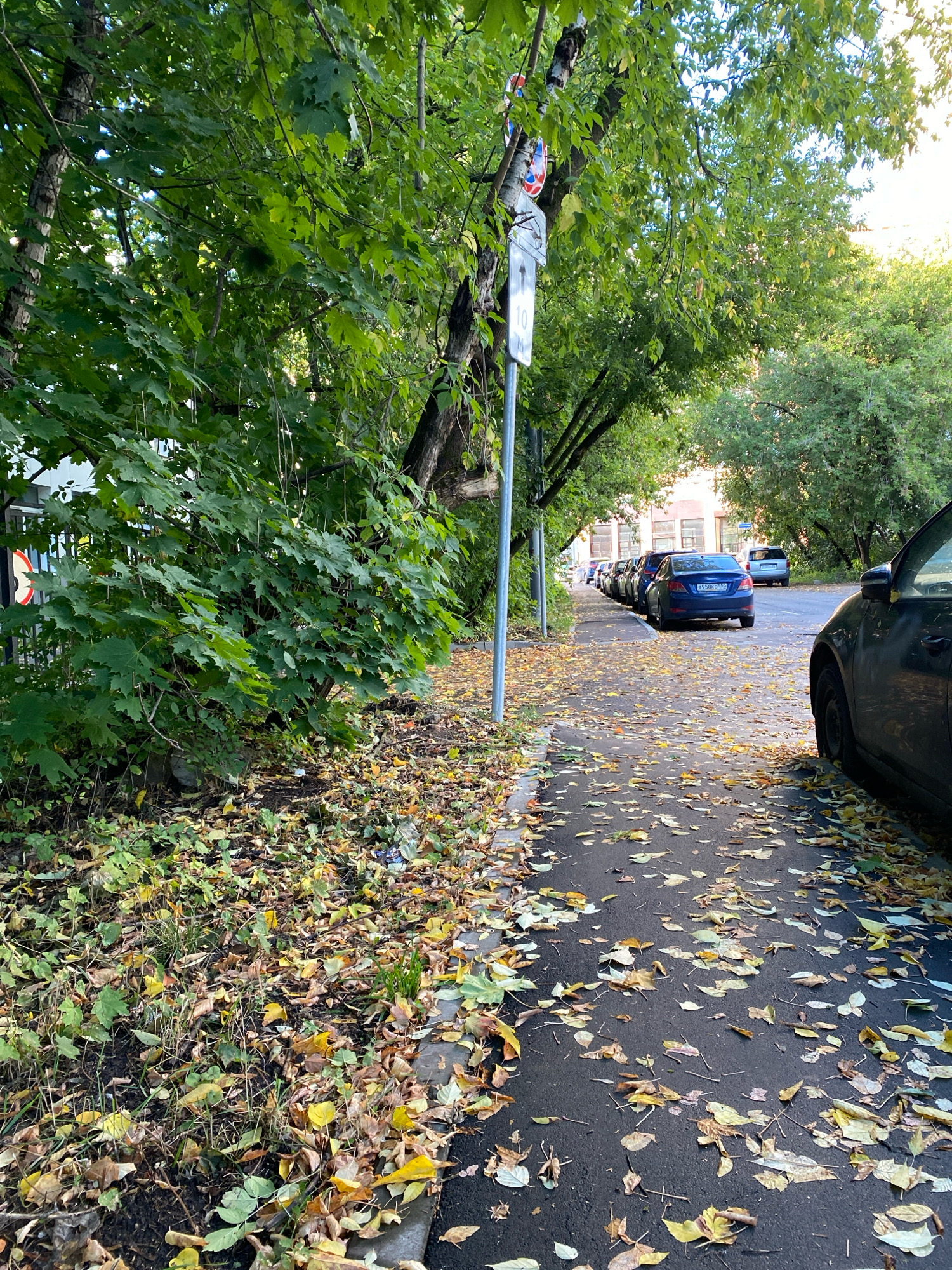 An outdoor, eye-level, vertical, medium shot shows a sidewalk lined with trees on the left and parked cars on the right, with fallen leaves scattered across the ground. The trees have green foliage, with some leaves starting to turn yellow and brown, suggesting it is autumn. The sidewalk is paved with asphalt, and a curb separates it from the street. The street is also lined with parked cars, and a building can be seen in the background. The overall scene is one of a quiet, tree-lined street in a city.