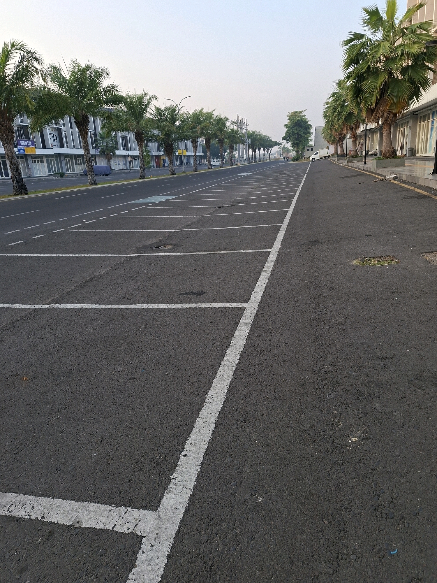 The image captures an outdoor view of a street with a parking lot in Surabaya, Indonesia. The foreground is dominated by an asphalt parking lot marked with white lines, indicating individual parking spaces. The parking lot extends into the background, bordered by a road on the left and a row of modern buildings on the right.
The buildings appear to be commercial establishments or offices, with large glass windows and a contemporary architectural style. Palm trees line the sidewalk in front of these buildings, casting shadows on the pavement. The sky is overcast, suggesting either early morning or a cloudy day.
Several vehicles are visible, including cars and a white truck parked in the distance. The street itself is paved and appears to be a thoroughfare, with lane markings also visible. The overall scene depicts a well-developed urban environment in Surabaya.