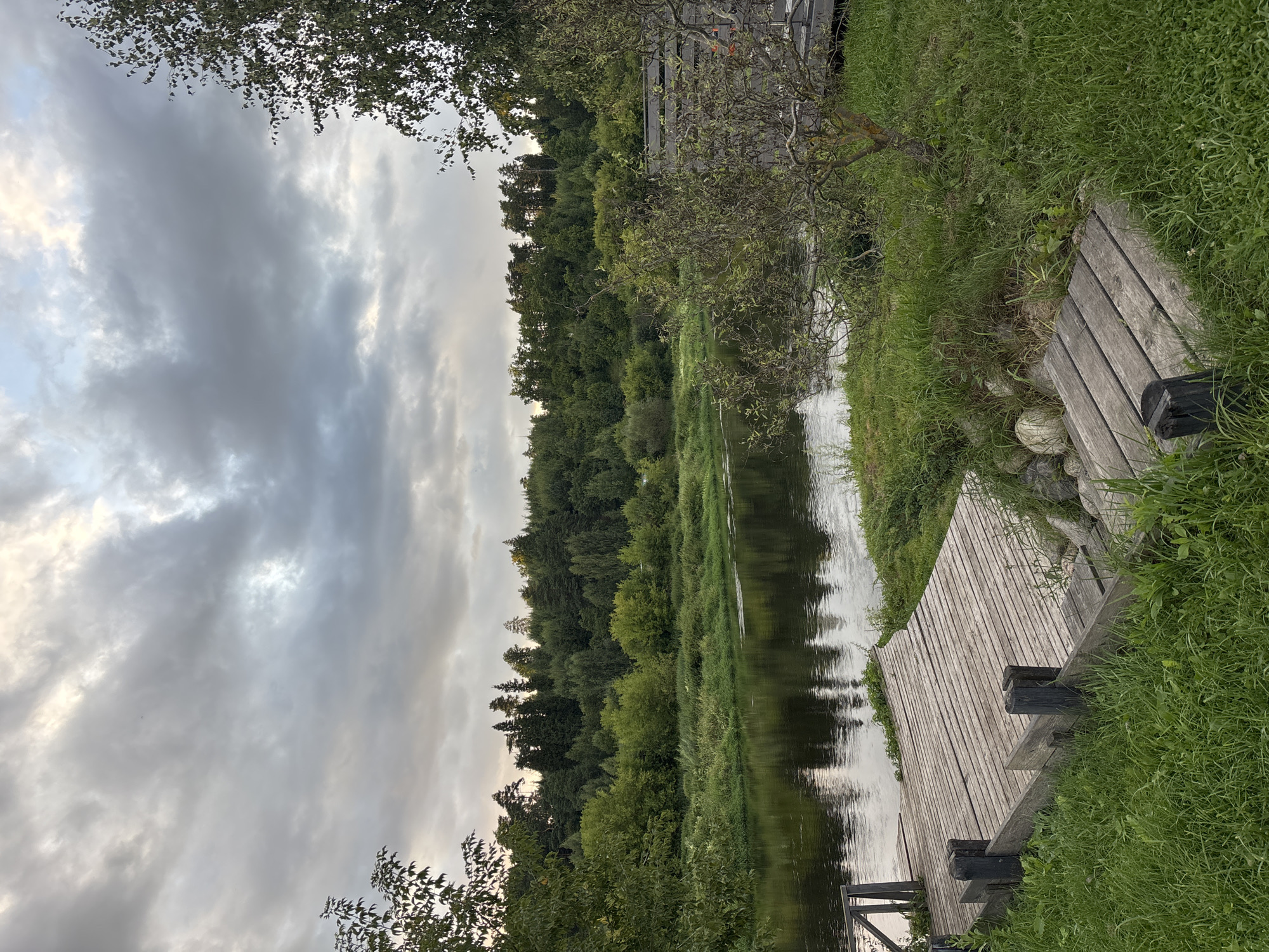 The image depicts a wooden dock extending into a calm river. Lush green grass surrounds the dock and the riverbank, with a dense forest of trees forming the backdrop on the opposite side of the river. The sky is overcast with dramatic, textured clouds. A small, gnarled tree stands to the right of the dock, and beyond it, a portion of a wooden structure, possibly a deck or platform, is visible. The scene is peaceful and natural, suggesting a location in a rural or suburban area. The provided metadata states the location as Zvenigorod, Russia. There are no people or animals visible in the image.