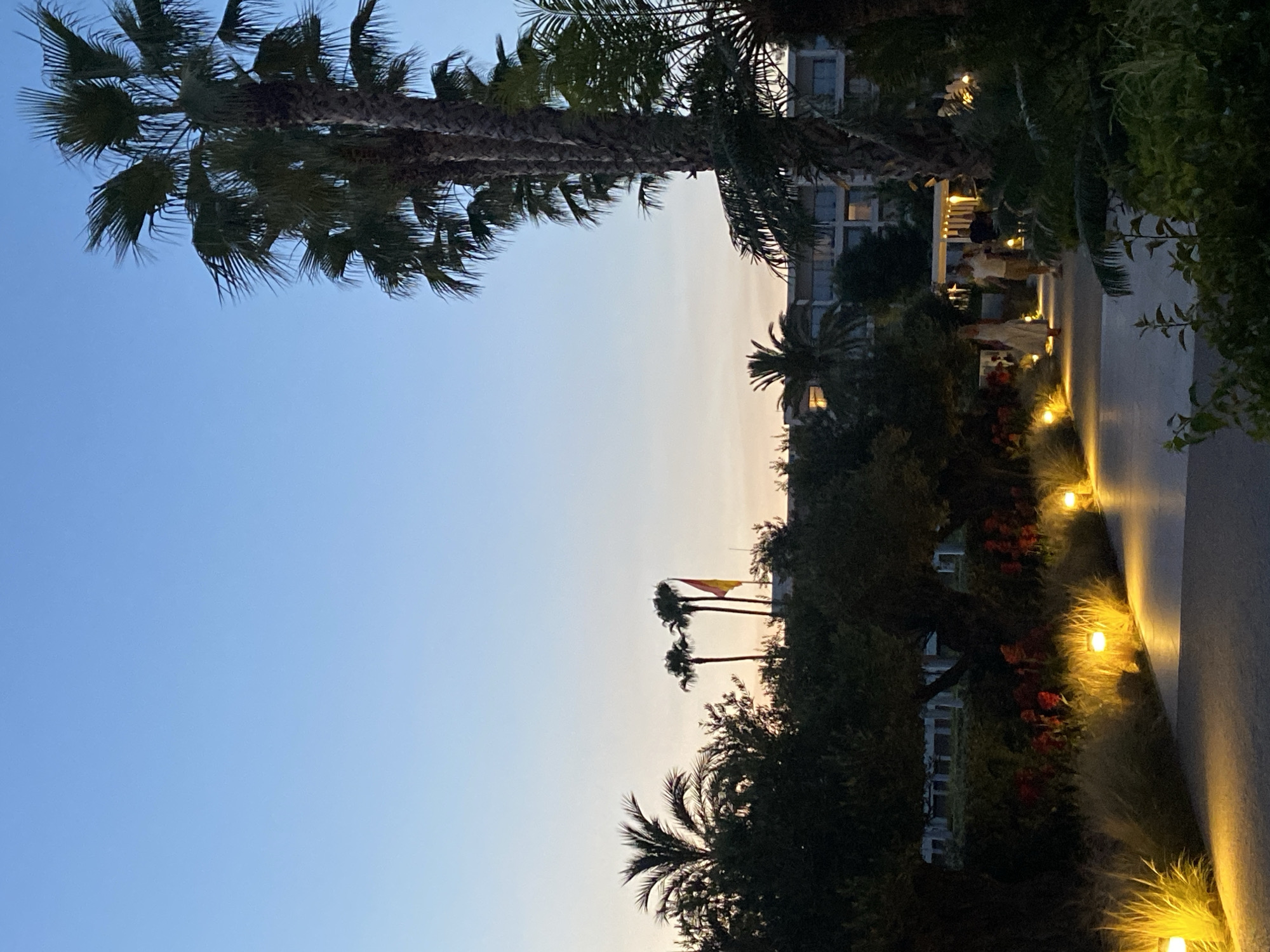The image depicts a dusky twilight scene in Estepona, Spain, featuring a landscaped pathway illuminated by warm-toned ground lights. Tall palm trees line the right side of the frame, with their fronds silhouetted against a clear, pale blue sky that transitions to a softer hue near the horizon. In the mid-ground, dense foliage and trees are visible, interspersed with red flowers. A building, likely a hotel or resort, is faintly visible behind the trees. Two individuals are walking away from the viewer on the pathway. The left side of the path is bordered by ornamental grasses and flowers, also lit by the ground lights. The overall ambiance is serene and tranquil, suggesting an evening stroll in a resort setting.