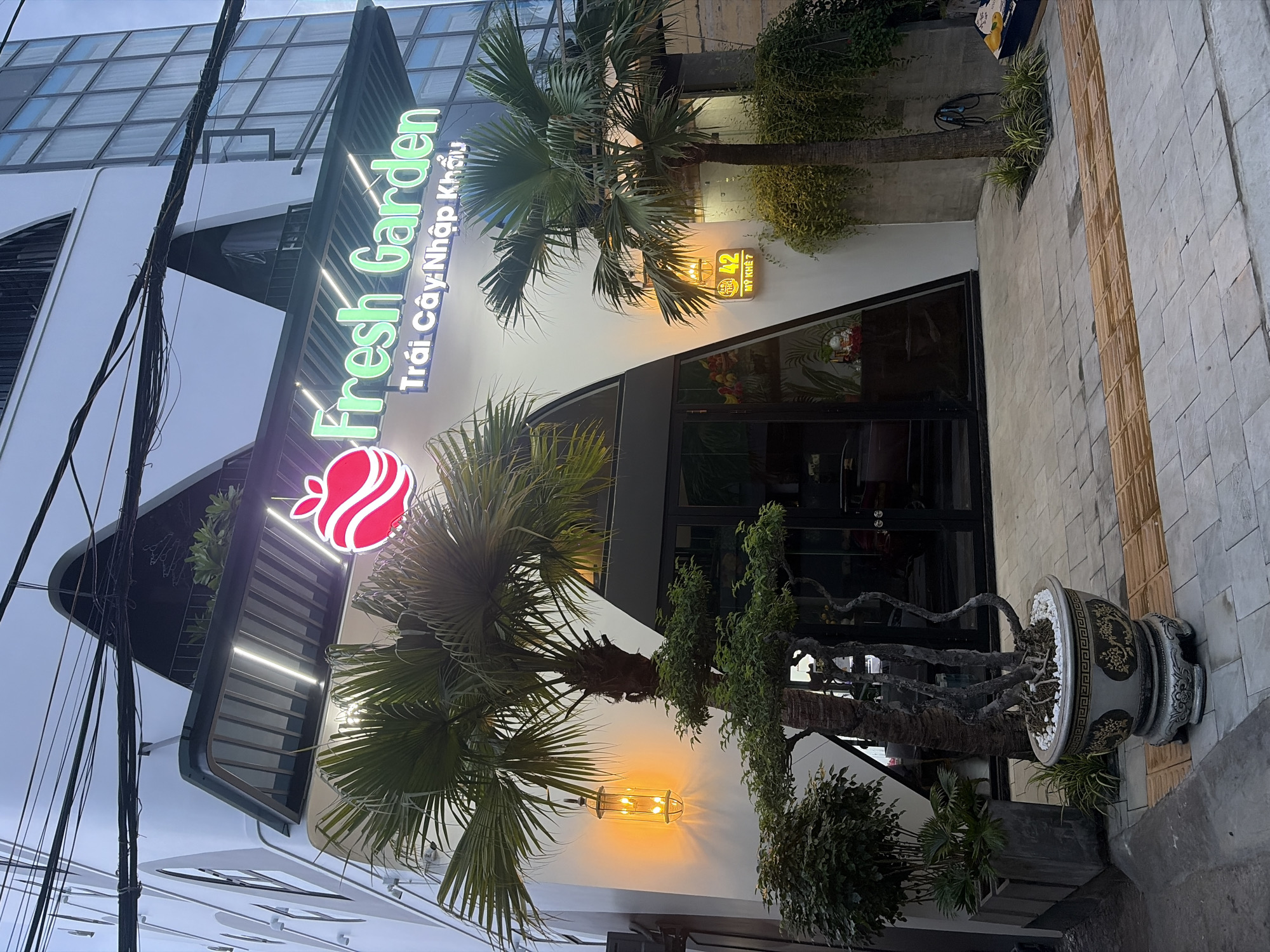 The image depicts the exterior of a "Fresh Garden" establishment, a fruit shop located at 42 Mỹ Khê in Đà Nẵng, Vietnam. The building features a modern architectural design with white, curved walls and a prominent awning illuminated by LED lights. Above the entrance, the "Fresh Garden" logo, a stylized red apple, is displayed alongside the green neon text "Fresh Garden" and smaller text below reading "Trái Cây Nhập Khẩu," indicating imported fruits.
Two palm trees flank the entrance, one on the left and another on the right, both bearing lush fronds. An ornate lantern with warm yellow light hangs from the left palm tree, casting a glow on the building's facade. Near the entrance, decorative potted plants, including a bonsai tree with intricate branches, add to the aesthetic. The building has large glass doors, through which glimpses of interior decorations, including fruit displays and figurines, can be seen. The sidewalk in front of the shop is paved with grey tiles and features a tactile paving strip in a contrasting orange color, typical of public walkways in Vietnam. Overhead, a network of electrical wires crisscrosses the sky, a common sight in Vietnamese urban environments. The overall scene is captured at dusk or twilight, with the ambient light creating a somewhat dim but inviting atmosphere.