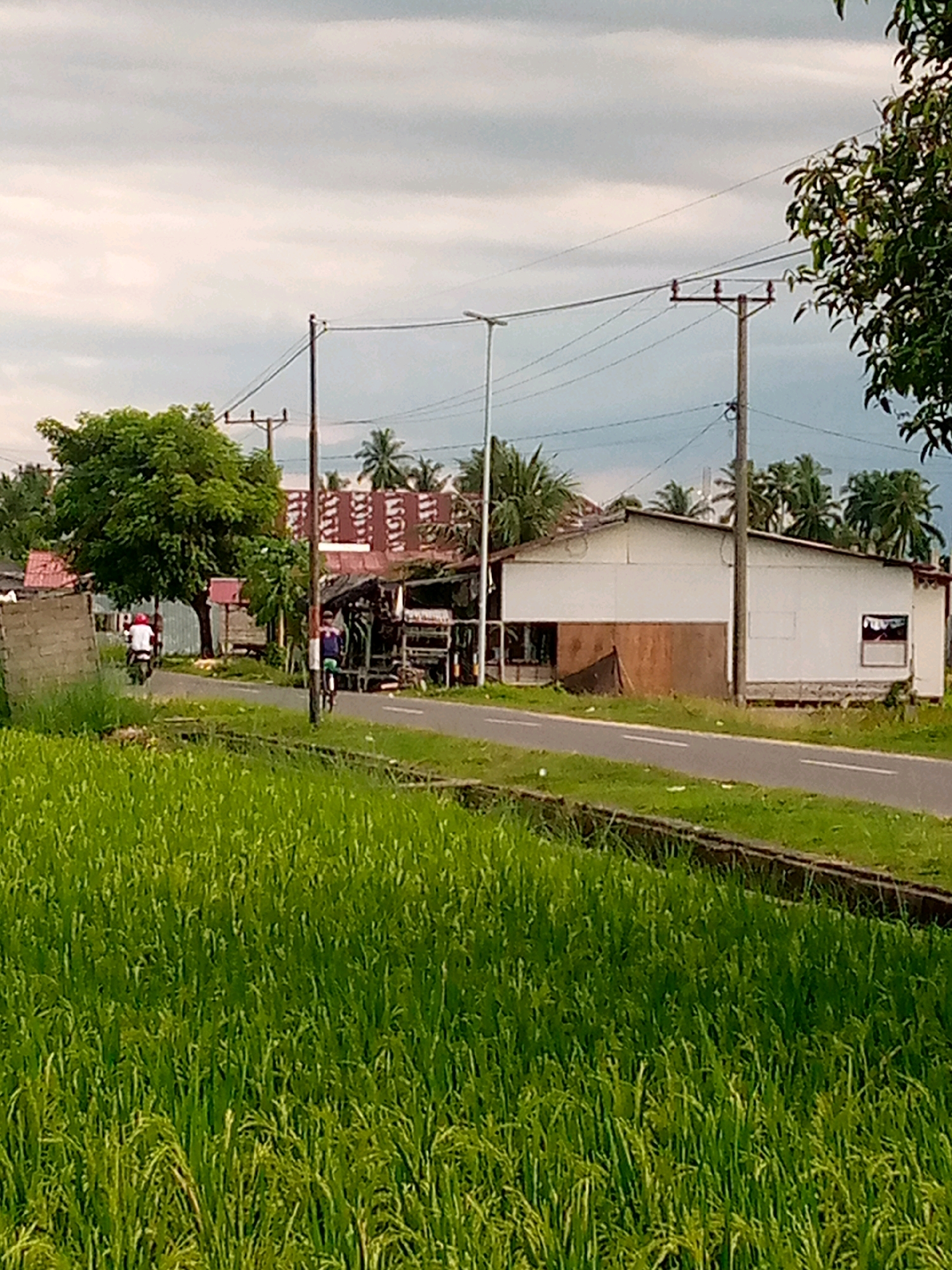 A long shot shows a paved road with a motorcycle and a bicycle, with green rice fields in the foreground and buildings in the background. A motorcyclist wearing a red helmet and a white shirt rides away from the camera. A cyclist wearing a blue shirt and shorts rides toward the camera. The road is bordered by a small channel and a line of grass. In the background, there are several buildings with corrugated metal roofs, palm trees, and power poles. The sky is cloudy. The scene is likely in a rural area of Kutaglumpang, Indonesia.