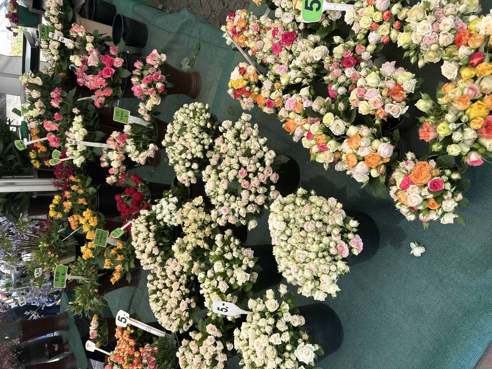 The image depicts a flower market stall in Stuttgart, Germany, overflowing with a vibrant array of roses. The stall, draped with a green tarp, is a riot of color, with bouquets of roses in shades of white, cream, pink, yellow, orange, and red. Many of the bouquets are small and clustered, suggesting they are intended for individual sale. Some of the roses are priced with handwritten signs, indicating costs in Euros. Several buckets and pots hold the flowers, with some of the larger buckets containing denser arrangements of white and cream roses. In the background, blurred figures of people can be seen, suggesting an active market environment. The overall impression is one of abundance and natural beauty, characteristic of a bustling European flower market.