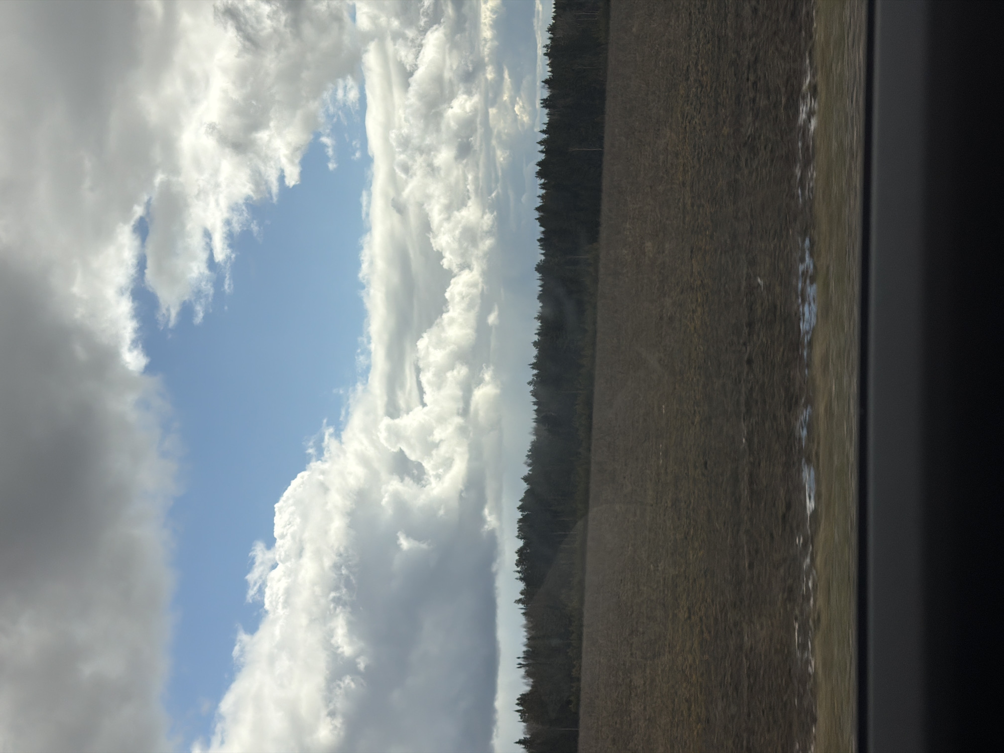 The image shows a view from what appears to be a moving vehicle, possibly a train or car, as suggested by the frame visible on the right. The scene is divided into three distinct areas. The left side of the image showcases a partly cloudy sky with patches of blue visible through the white clouds. Moving towards the center, there is a line of dense forest. To the right of the forest, an open field stretches out, and the scene ends with a dark blurry frame on the far right. Given the focus on nature (sky, clouds, forest, field) and the lack of clear urban elements, precise localization to a specific area within Sidorovy Gory is not possible. The image captures a landscape along a transport route, likely outside the immediate urban center. No people, distinct objects or specific actions are visible in the picture.