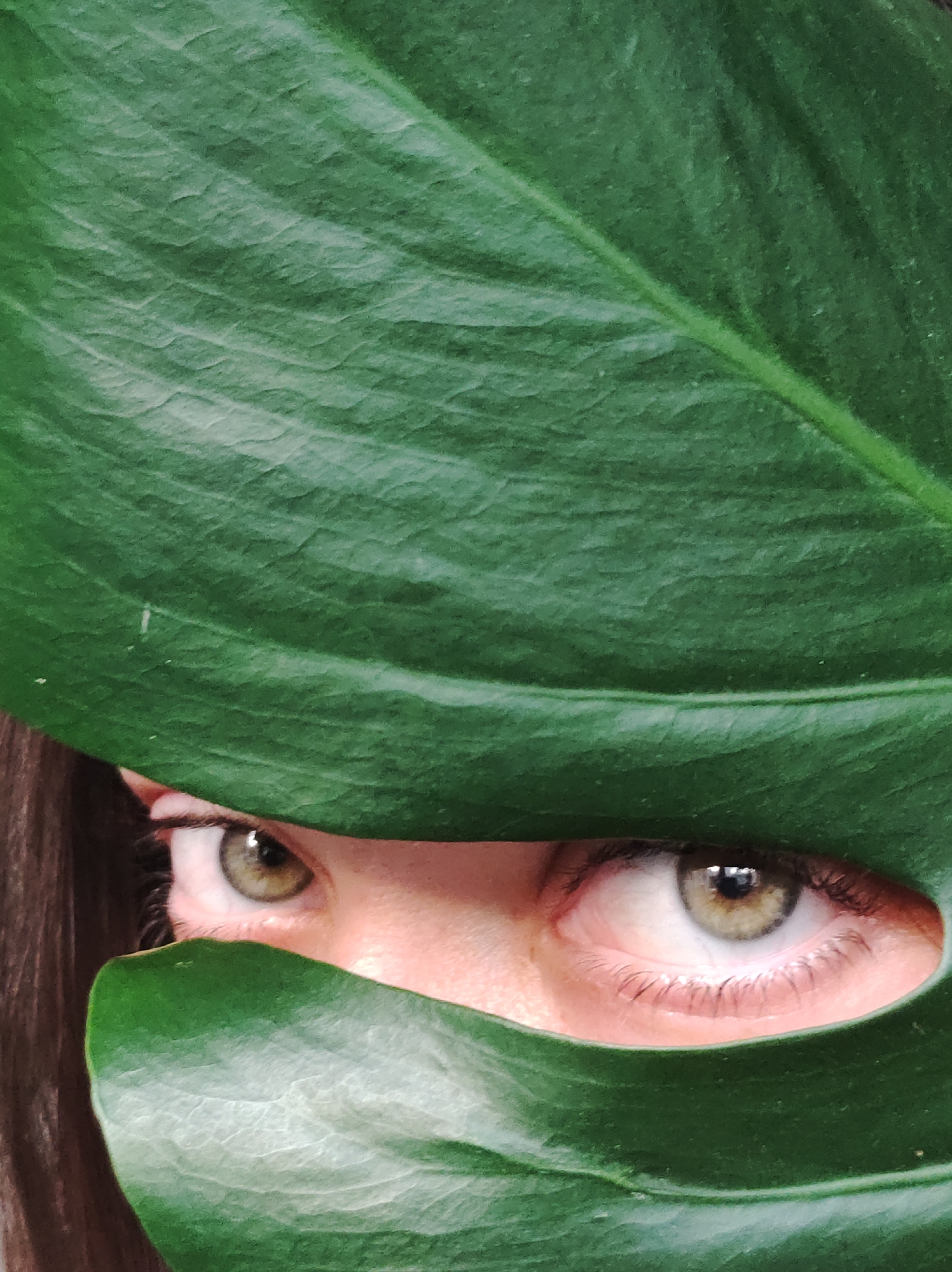 A close-up shot shows a person's eyes peeking through a hole in a large, green leaf. The eyes are hazel or light brown. Part of the person's brown hair is visible on the left side. The leaf fills most of the frame, covering the majority of the person's face. The texture of the leaf is visible. There is no information in the image to associate it with the city of Chaikovsky, Russia.