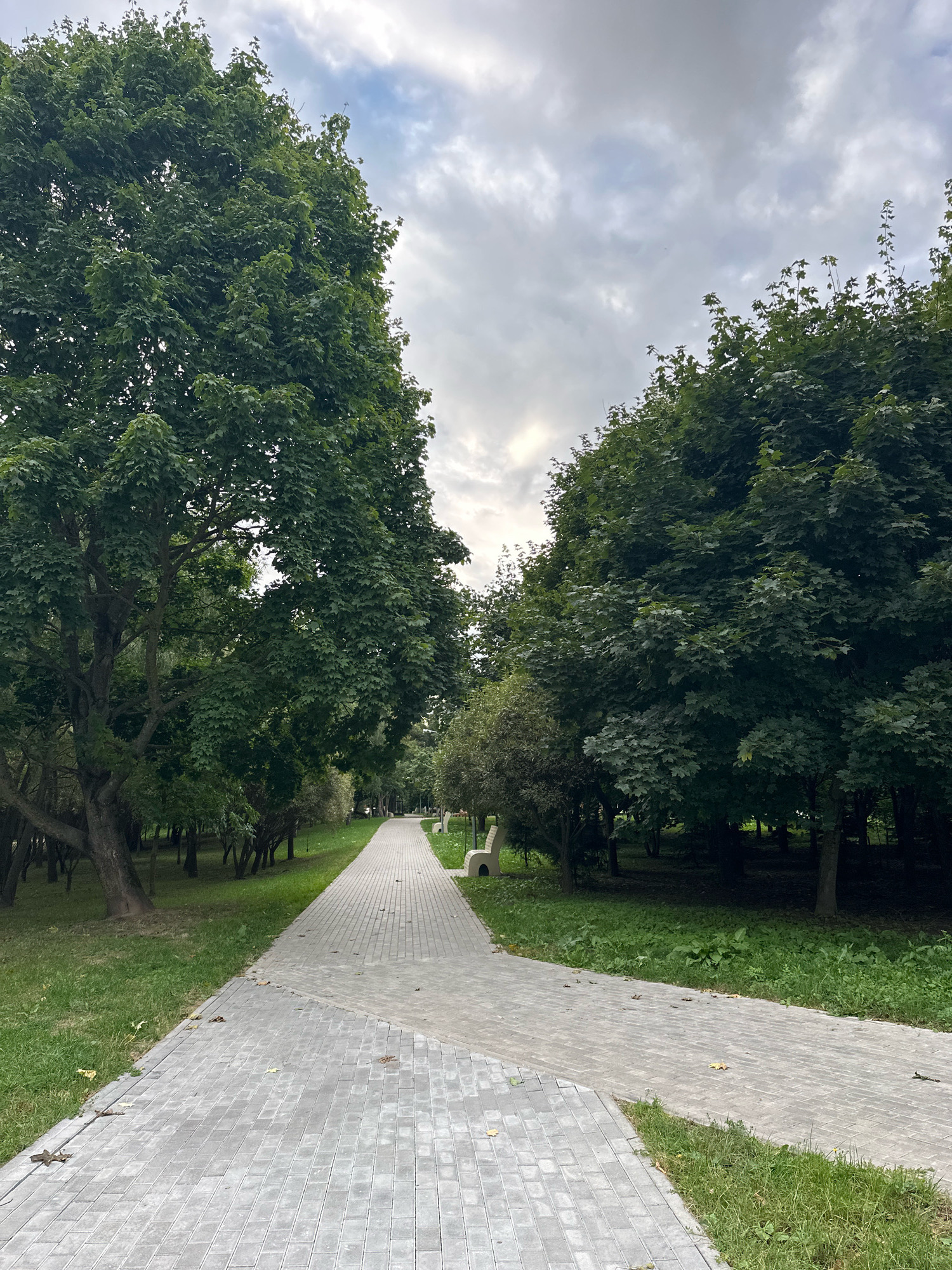 The image depicts a paved pathway in a park, likely in Minsk, Belarus, given the context. The pathway is constructed from light gray interlocking rectangular pavers, forming a geometric pattern that curves through the park. On the left side of the pathway, a large, mature tree with dense green foliage dominates the foreground, its trunk thick and textured. To the right of the path, the terrain slopes gently upwards, covered in lush green grass. Further into the park, more trees create a dense, shaded canopy. Several park benches, made of light-colored material and featuring a curved design, are visible along the path, inviting rest. The sky above is overcast, with a mix of gray clouds and lighter patches suggesting diffused sunlight. The overall impression is of a tranquil, well-maintained urban park.