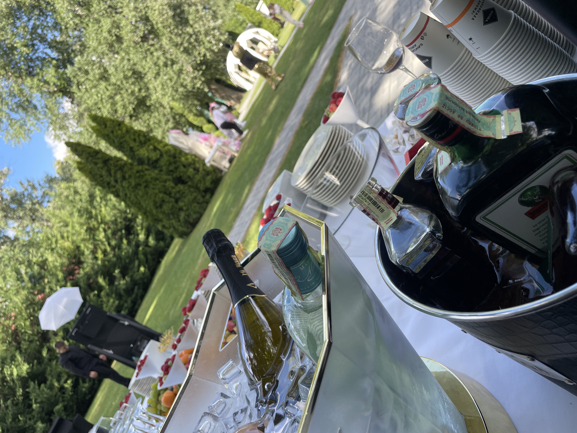 An outdoor event is taking place in the city of Vadul lui Voda, Moldova. In the foreground, on a table covered with a white tablecloth, are several bottles of alcohol chilling in ice buckets. One ice bucket contains a bottle of sparkling wine and a bottle of clear liquor. Another, a black textured bucket, contains two bottles of dark liquor, appearing to be Jägermeister, with their labels facing the camera. Scattered around the table are stacks of white paper cups, a wine glass, and bowls of fruit, including raspberries and grapes. In the background, guests are seen mingling on a grassy lawn, with trees and white gazebos visible. A person in dark clothing is standing near a large speaker and a white umbrella. The sky is blue with some clouds.