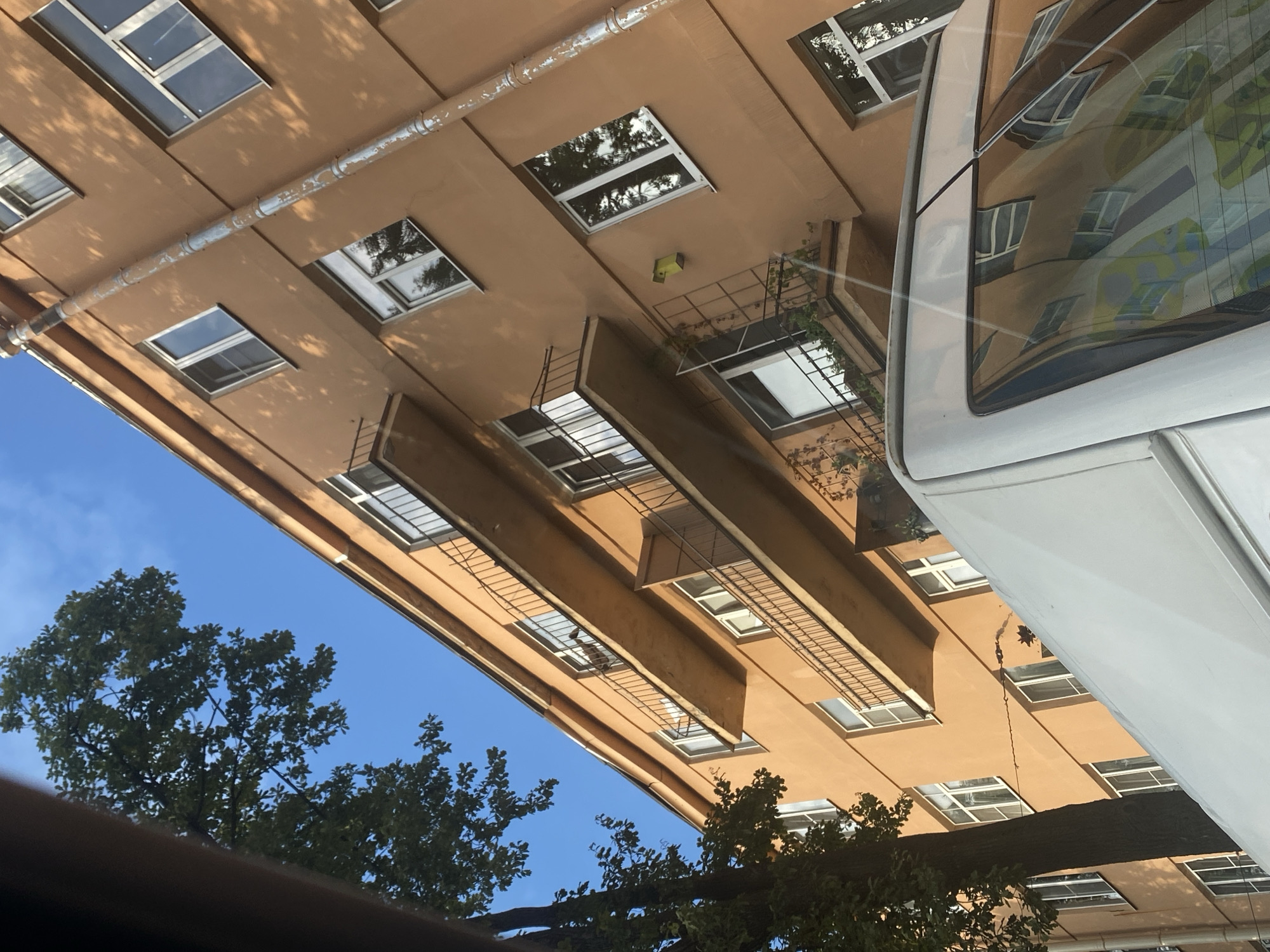 The image shows a tan-colored apartment building with multiple balconies and windows under a clear blue sky. A large tree with green foliage is visible on the left side of the frame, casting shadows on the building. A portion of a white vehicle is in the foreground, reflecting the building and the sky. A downspout runs vertically along the side of the building. The architecture suggests a location in Saint Petersburg, Russia, likely in a residential area.