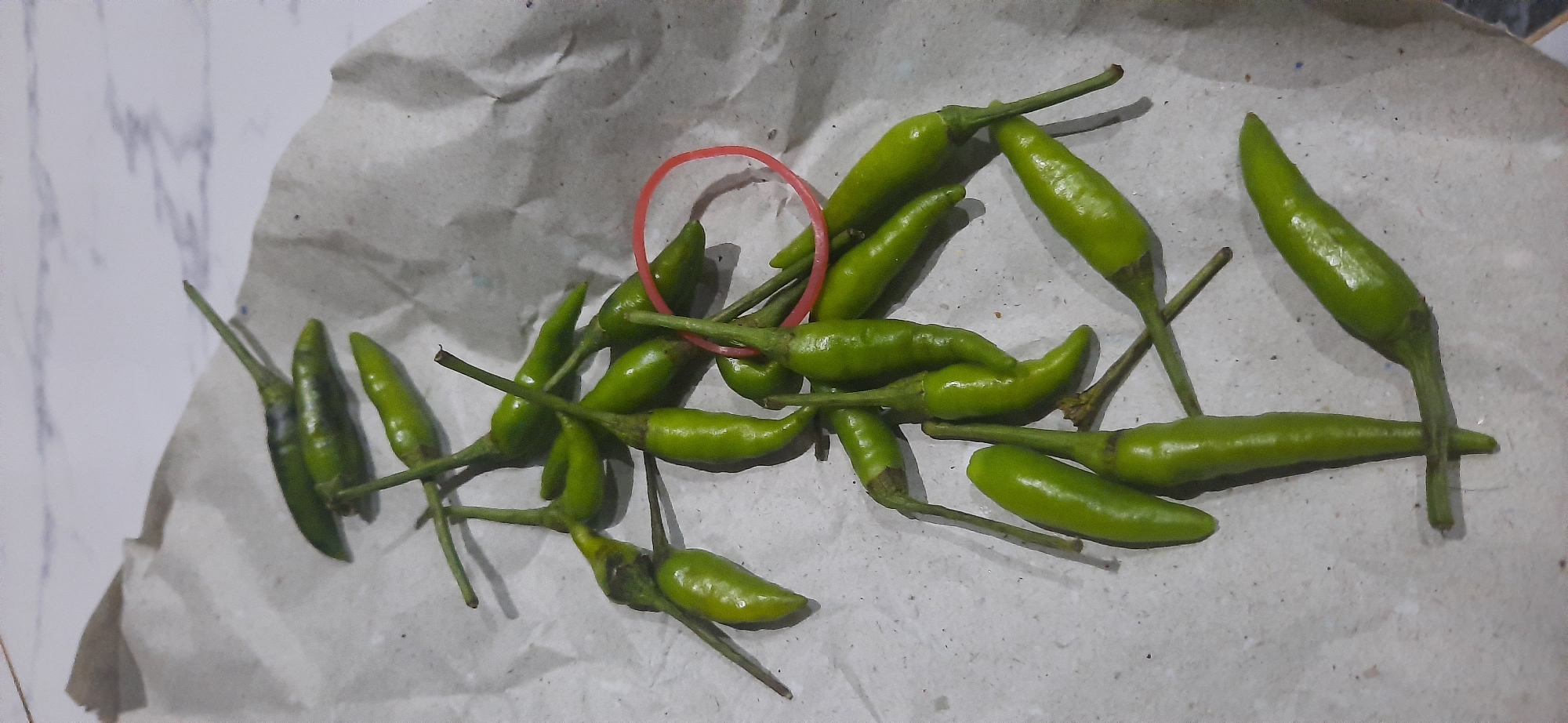 A pile of small, green chili peppers rests on a crumpled sheet of brown paper, which is placed on a marble-patterned surface. A thin, red rubber band is looped around some of the peppers. The lighting appears to be artificial and overhead, casting subtle shadows. The scene is a close-up shot, with no indication of a specific location within Cisauk, Indonesia, or any people present.