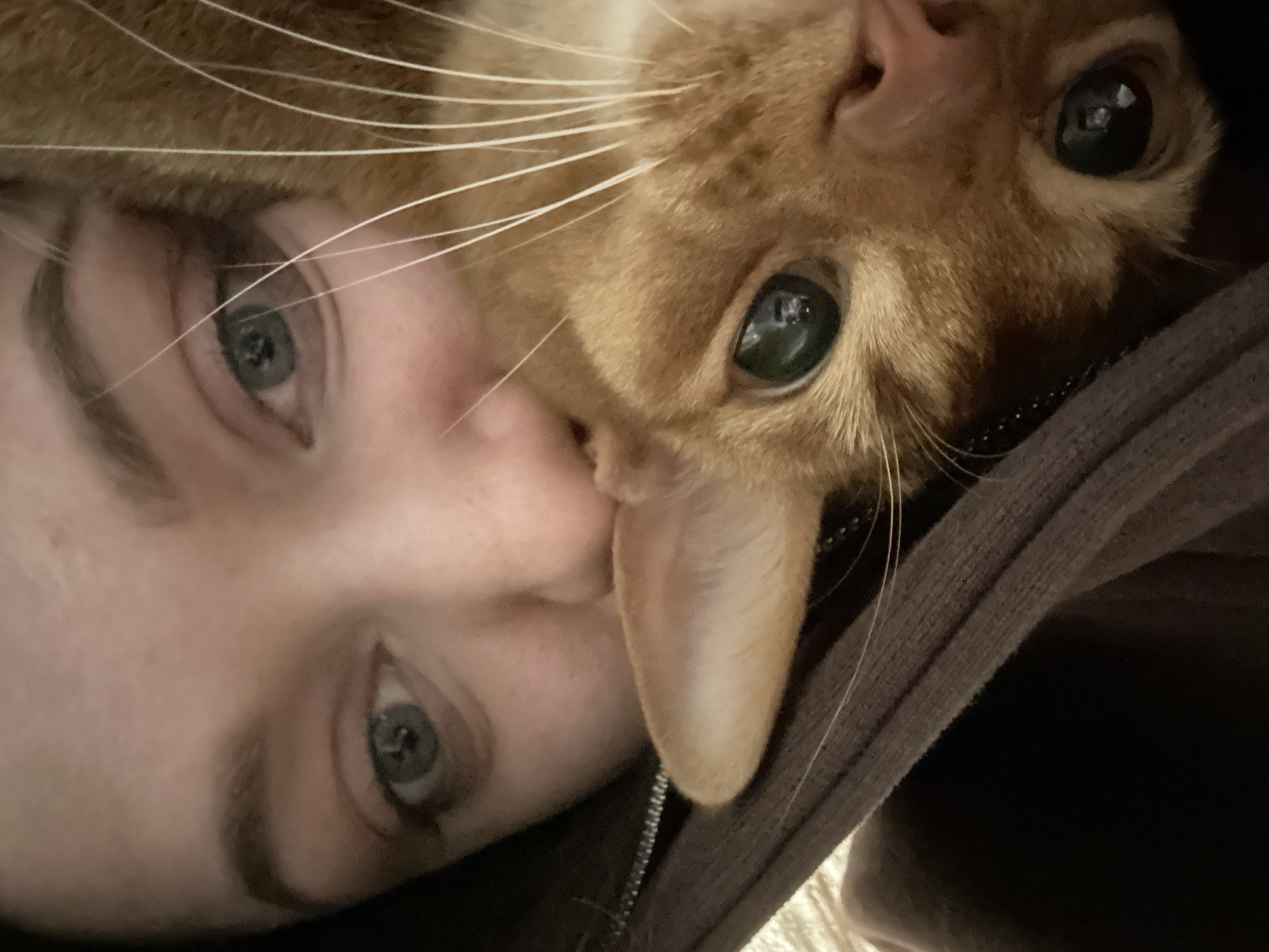 A close-up, tilted photograph features a person's face next to an orange tabby cat's face. The person has fair skin, blue eyes, and visible eyebrows. The cat has green eyes, white whiskers, and an orange coat. The person is wearing a brown hooded sweatshirt. No location is discernible from the image.