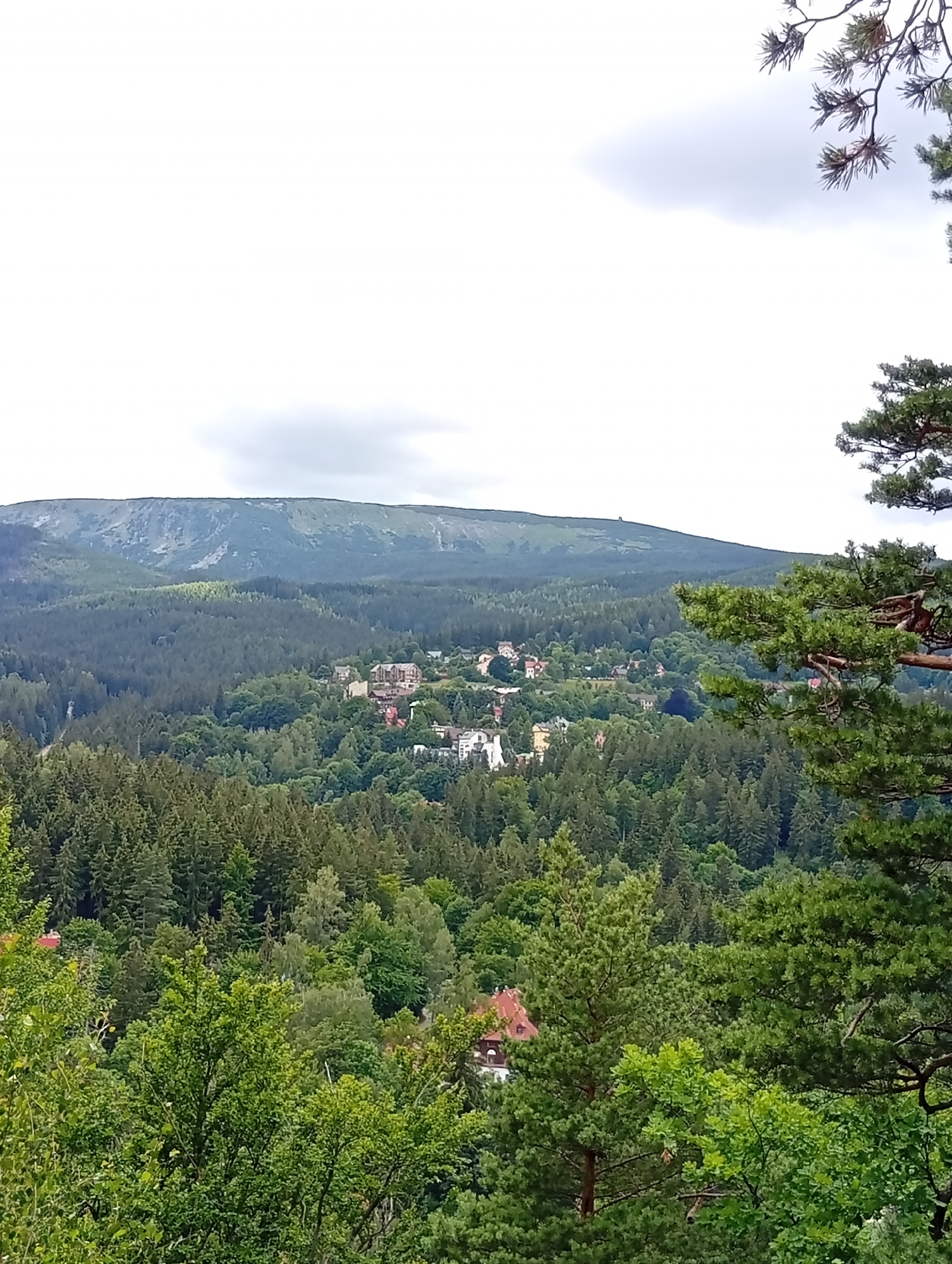 The image depicts a panoramic view of a town nestled within a lush, forested mountainous region. In the foreground, a dense canopy of evergreen and deciduous trees dominates the lower portion of the frame, with glimpses of red-tiled roofs of buildings peeking through the foliage. As the view recedes, a town with various buildings, including hotels and residential structures, is visible in the middle ground, situated amidst rolling hills covered in dense woodland. In the background, a large, imposing mountain range stretches across the horizon under a cloudy sky. The scene appears to be captured from an elevated vantage point, offering a wide perspective of the natural landscape and the settlement. Given the context provided that the location is Karpacz, Poland, the image likely showcases the picturesque scenery characteristic of this mountain resort town.
