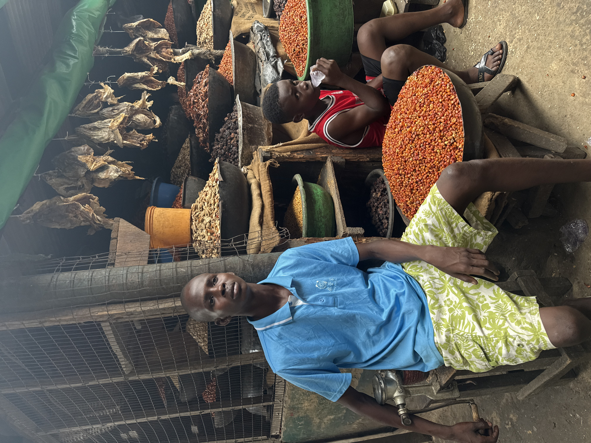 This image depicts a bustling marketplace scene in Lagos, Nigeria, likely at a stall specializing in dried goods and spices. Two young boys are the central figures. The older boy, on the left, is seated in front of a manual grinding machine. He wears a light blue polo shirt with a white collar and green and white patterned shorts. His gaze is directed towards the camera with a neutral expression.
The younger boy, on the right, is seated amidst large bowls of assorted dried goods. He is wearing a red tank top with white trim and black shorts. He is captured in the act of drinking from a translucent cup, holding a piece of ice.
The background reveals a typical market environment. Suspended from the ceiling are numerous dried fish, adding to the visual texture of the stall. Various bowls and containers overflow with an array of spices and grains, showcasing a colorful and diverse selection. These include what appear to be dried peppers, seeds, and other legumes, arranged in large, rustic bowls. A metal cage-like structure is visible behind the older boy, possibly for storage or display. The ground is dirt or concrete, typical of an outdoor market. The overall impression is one of vibrant commerce and daily life in Lagos.