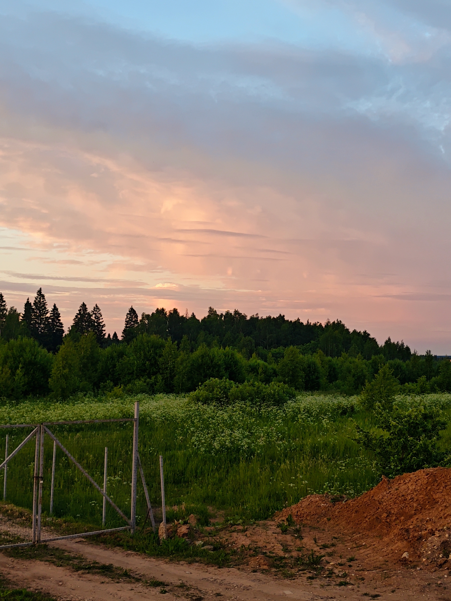 The image depicts a rural landscape at dusk, featuring a vibrant sky with hues of pink, orange, and blue. In the foreground, a dirt road leads to a rustic metal gate and fence bordering a lush green field dotted with white wildflowers. Beyond the field, a dense forest of coniferous and deciduous trees forms a dark line against the illuminated sky. To the right of the frame, a mound of reddish-brown soil is visible. The scene appears to be located in the vicinity of Курово, Russia, suggesting a tranquil, natural setting. There are no people or animals present in the image, and no discernible actions are taking place. The overall impression is one of peaceful twilight in a natural, undeveloped area.