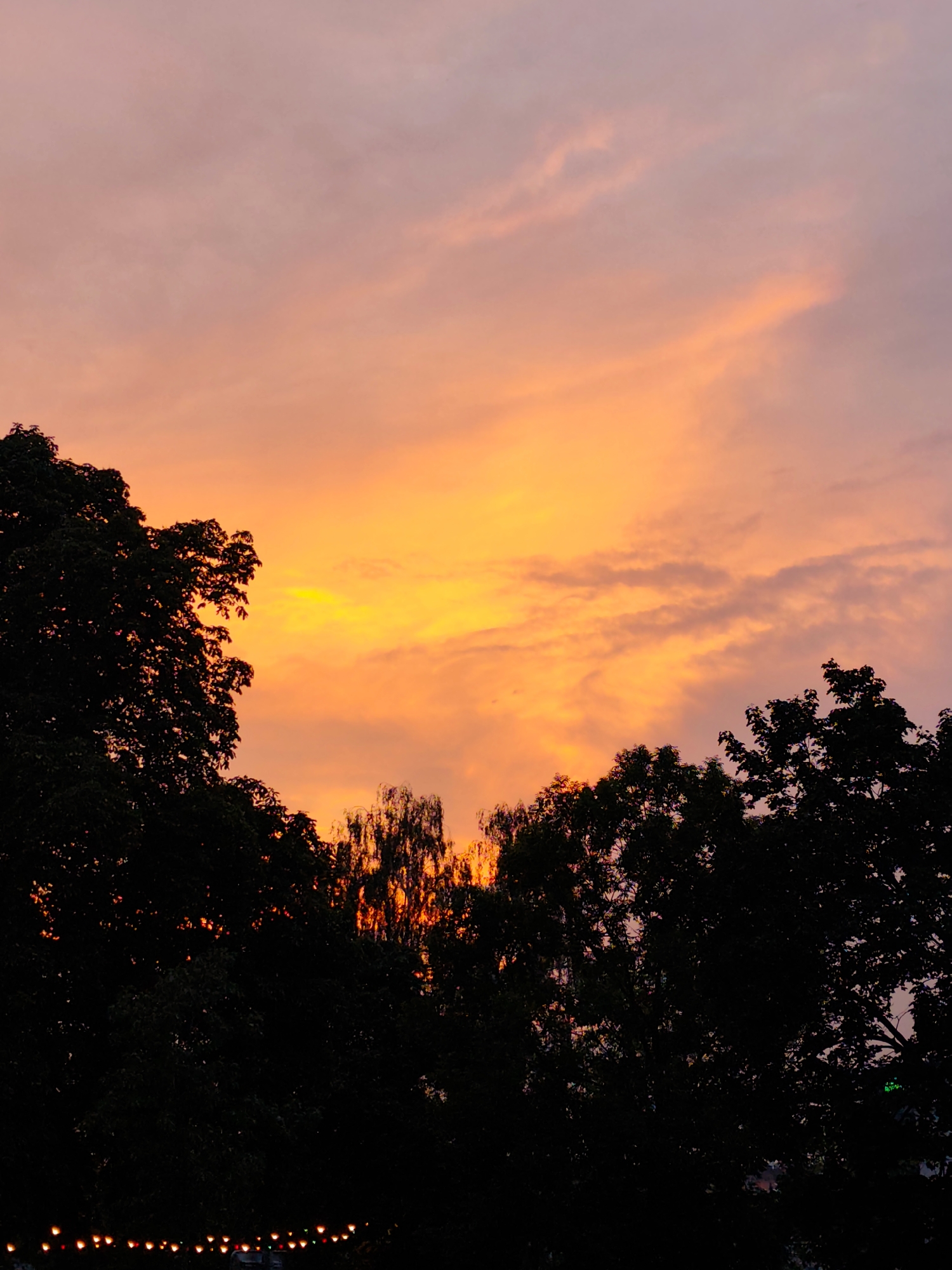 The image depicts a vibrant sunset over a tree line in Prague, Czechia. The sky is a gradient of intense orange and yellow near the horizon, fading into soft pink and purple hues higher up. Silhouetted against this dramatic sky are the dark shapes of trees, with some thinner trees with visible branches in the background. Along the bottom edge of the image, a string of small, warm-toned lights is visible, suggesting an outdoor setting, possibly a park or garden area. No people are present in the frame.