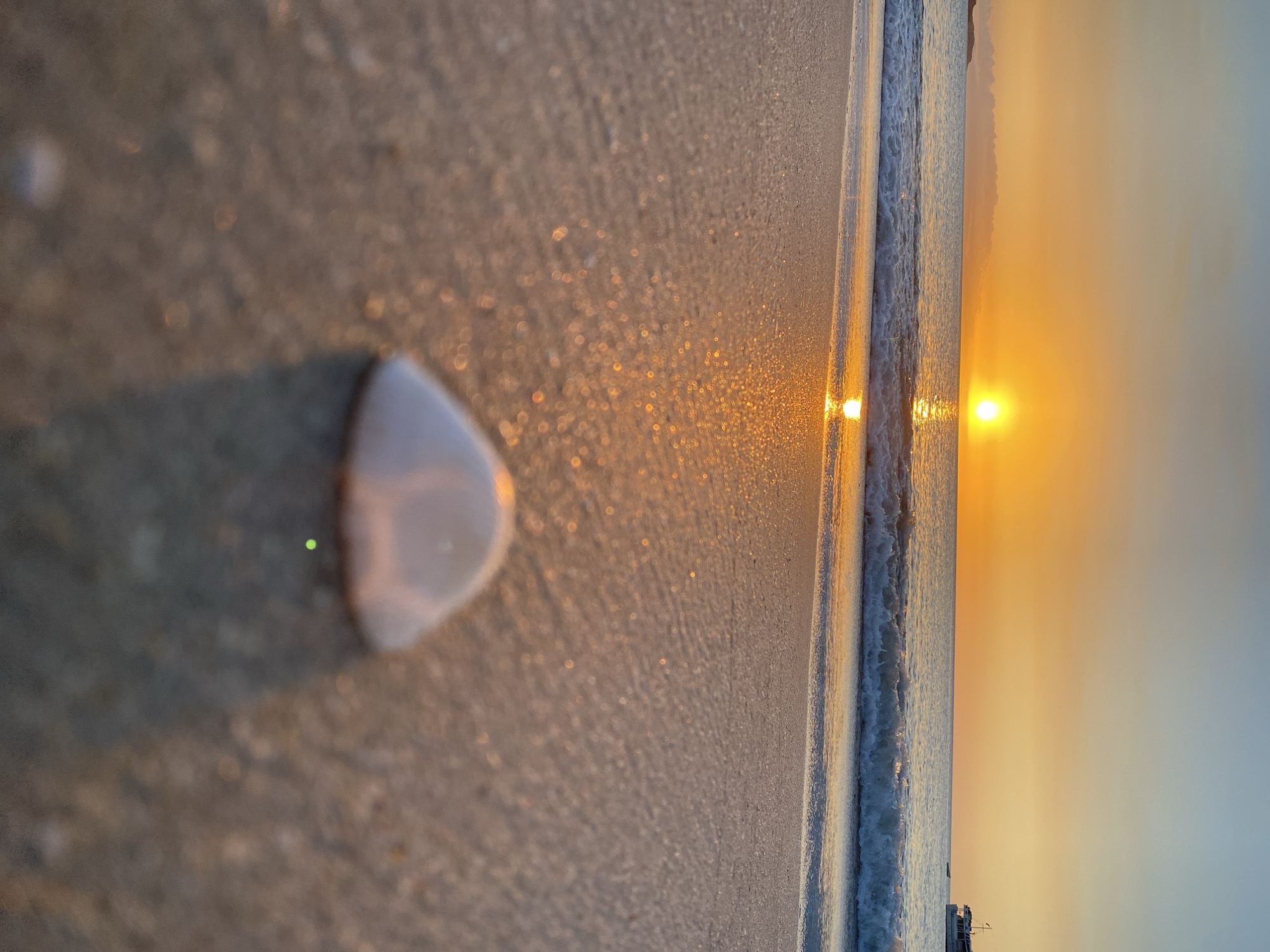 The image captures a sunset scene at a beach in Juan Griego, Venezuela. A prominent, bright yellow, circular sun is situated low above the horizon, slightly left of the image center, casting a strong golden reflection across the water and onto the wet sand. Small waves are observed breaking at the shoreline. In the immediate foreground, a white, smooth, domed object, consistent with a seashell, rests on the sand, out of focus, and casts a dark shadow to its left. The wet sand surface exhibits granular texture and reflective glints from the sunlight. In the far distance on the left, a dark landmass or island is visible on the horizon. To the far right, a large white vessel with multiple decks is present on the water, with a smaller, darker object near its stern. The sky displays a gradient from light blue at the top to vibrant orange and yellow near the horizon. No people are depicted.