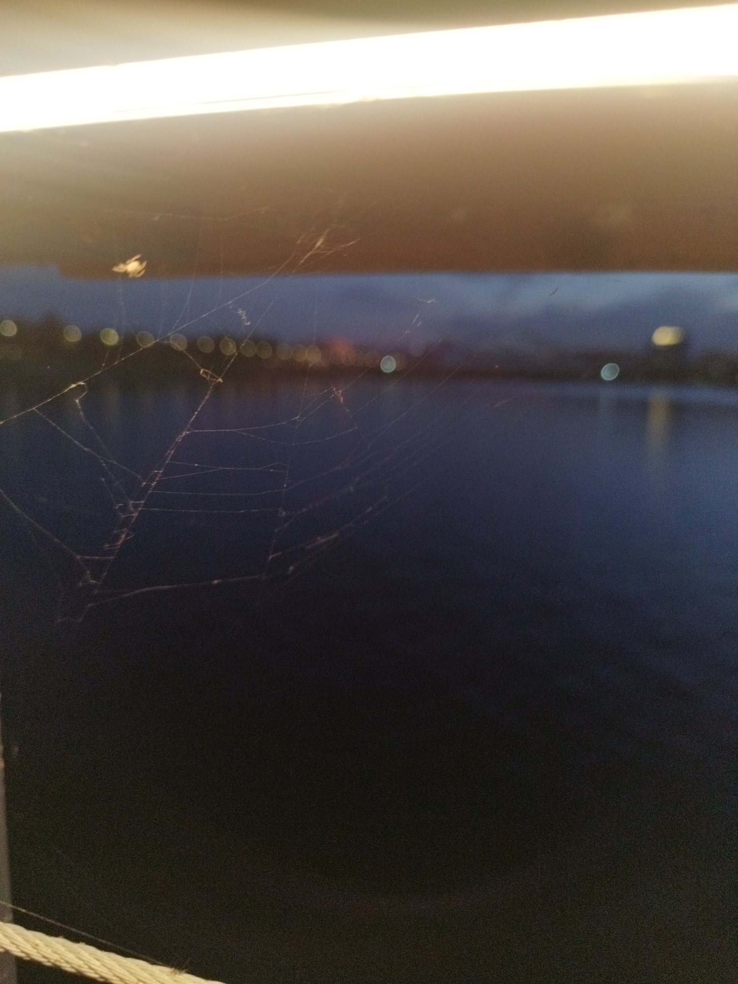A medium-shot image captures a spiderweb with a small spider on it, silhouetted against a dimly lit cityscape in Astana, Kazakhstan. The spiderweb is stretched across the foreground, its delicate strands catching the light. In the background, blurred lights of the city reflect on the dark water of a body of water, likely the Ishim River. The overall scene is one of quiet dusk or night, with a sense of solitude and the presence of nature within an urban environment. The image does not contain any people, interactions, or specific actions.