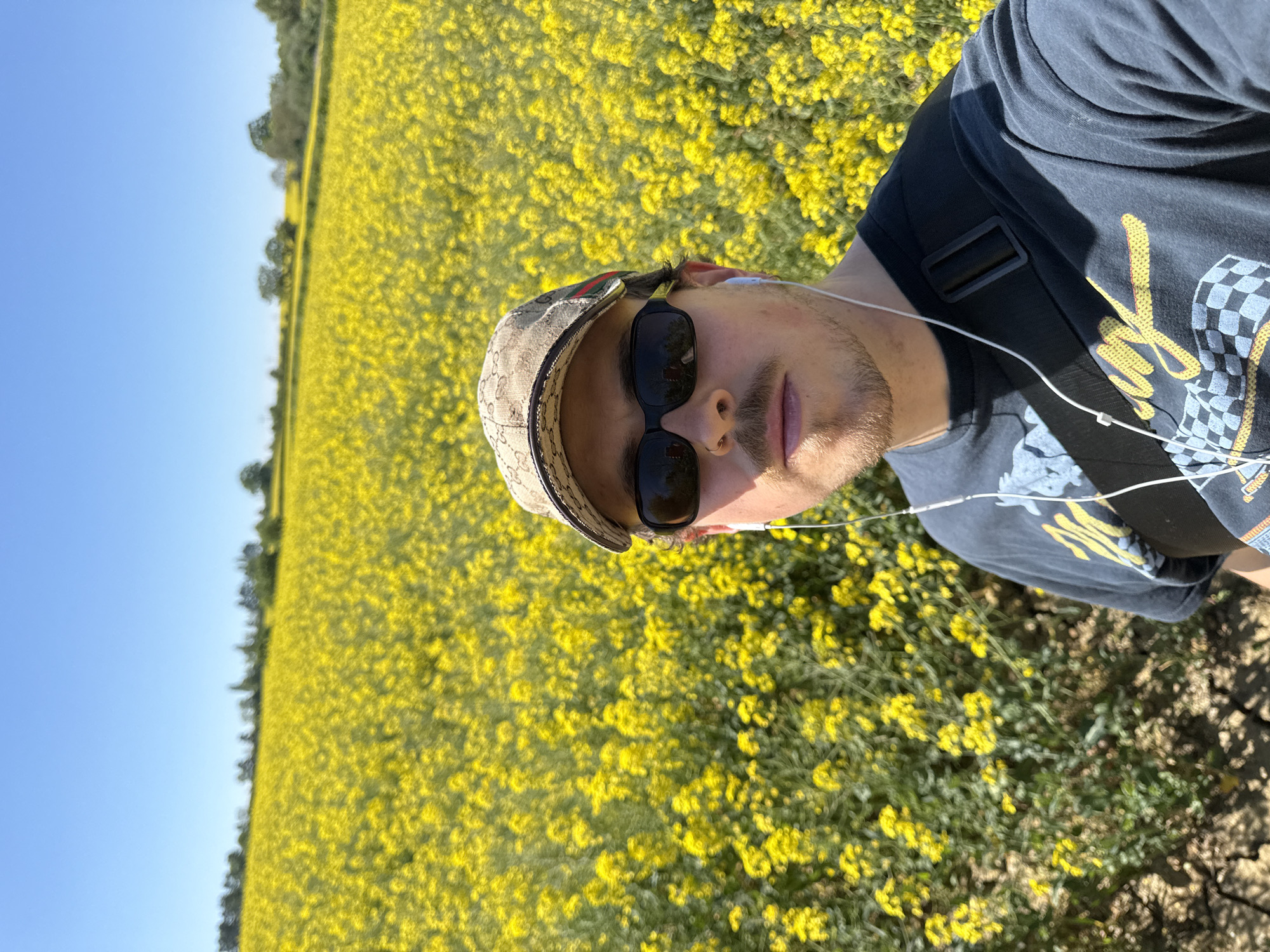 The image is a bright, sunlit selfie featuring a young man against a vibrant backdrop of yellow flowers. The perspective is taken from slightly above, with the man's head and torso occupying the right side of the frame. He is looking directly at the camera, wearing dark sunglasses that obscure his eyes. On his head is a beige baseball cap, patterned with what appears to be a Gucci GG monogram and signature red and green stripes. White wired earphones are visible in his ears, with the wire extending across his chest. He wears a dark t-shirt, possibly black or dark grey, featuring a graphic design with yellow text and a checkered flag motif, suggesting a racing or automotive theme. A dark strap from a bag is also visible across his shoulder.
The background is dominated by a vast field of bright yellow flowers, characteristic of rapeseed or canola, stretching into the distance. A line of trees marks the horizon where the field meets a clear, bright blue sky. The strong sunlight indicates it is daytime, likely midday or early afternoon, under sunny weather conditions. The immediate foreground on the right shows a patch of disturbed earth or a dirt path. The overall setting suggests a rural or semi-rural environment, consistent with the provided location context of North Hertfordshire, United Kingdom, during a time when such fields would be in bloom. The man appears relaxed, enjoying the outdoor scenery.
