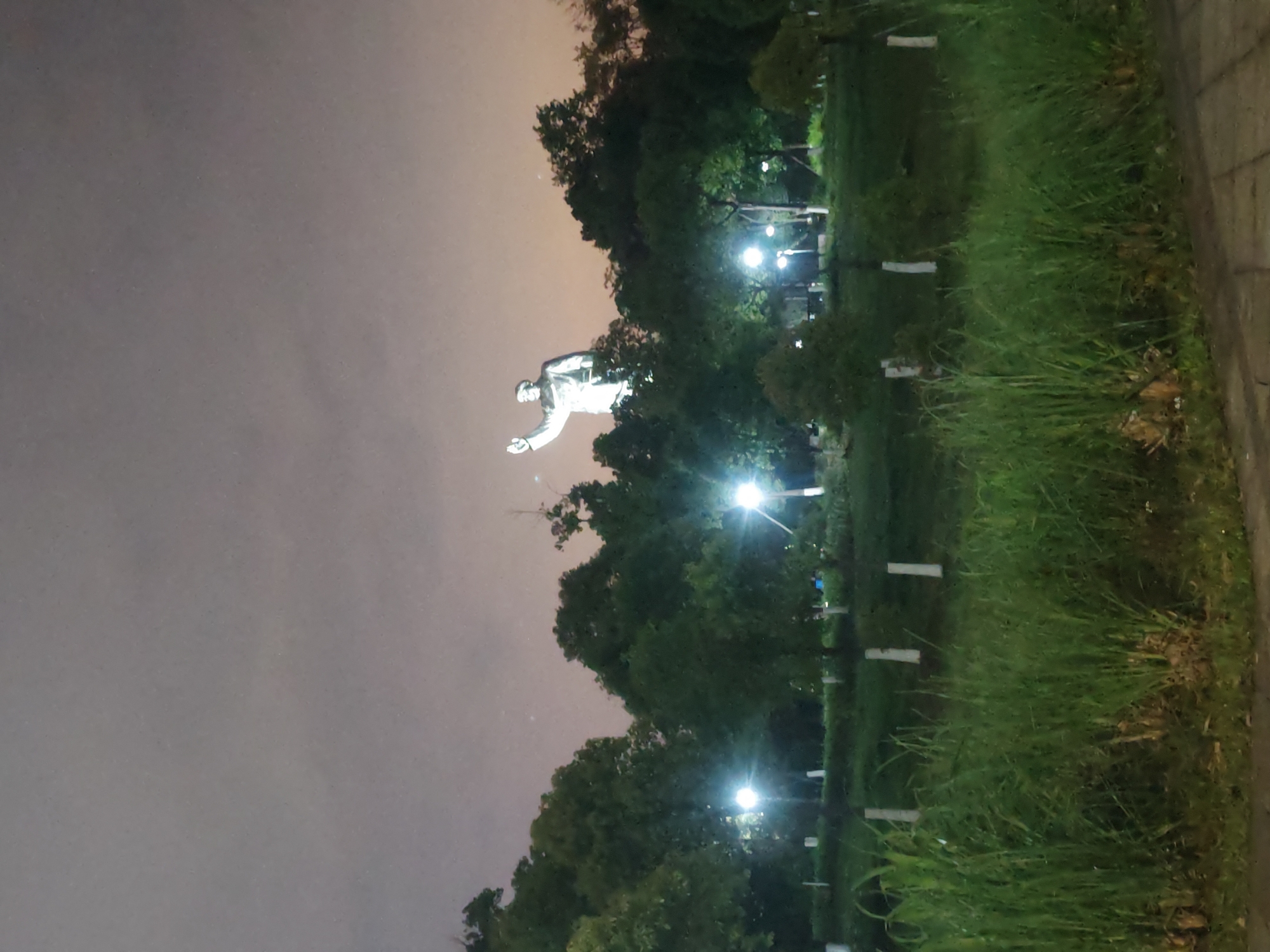 The image shows a nighttime scene in the city of Chongqing High-tech Zone, China. A statue stands amidst trees and grassy areas, illuminated by nearby streetlights. The sky is overcast and gray. A sidewalk runs along the right edge of the frame.