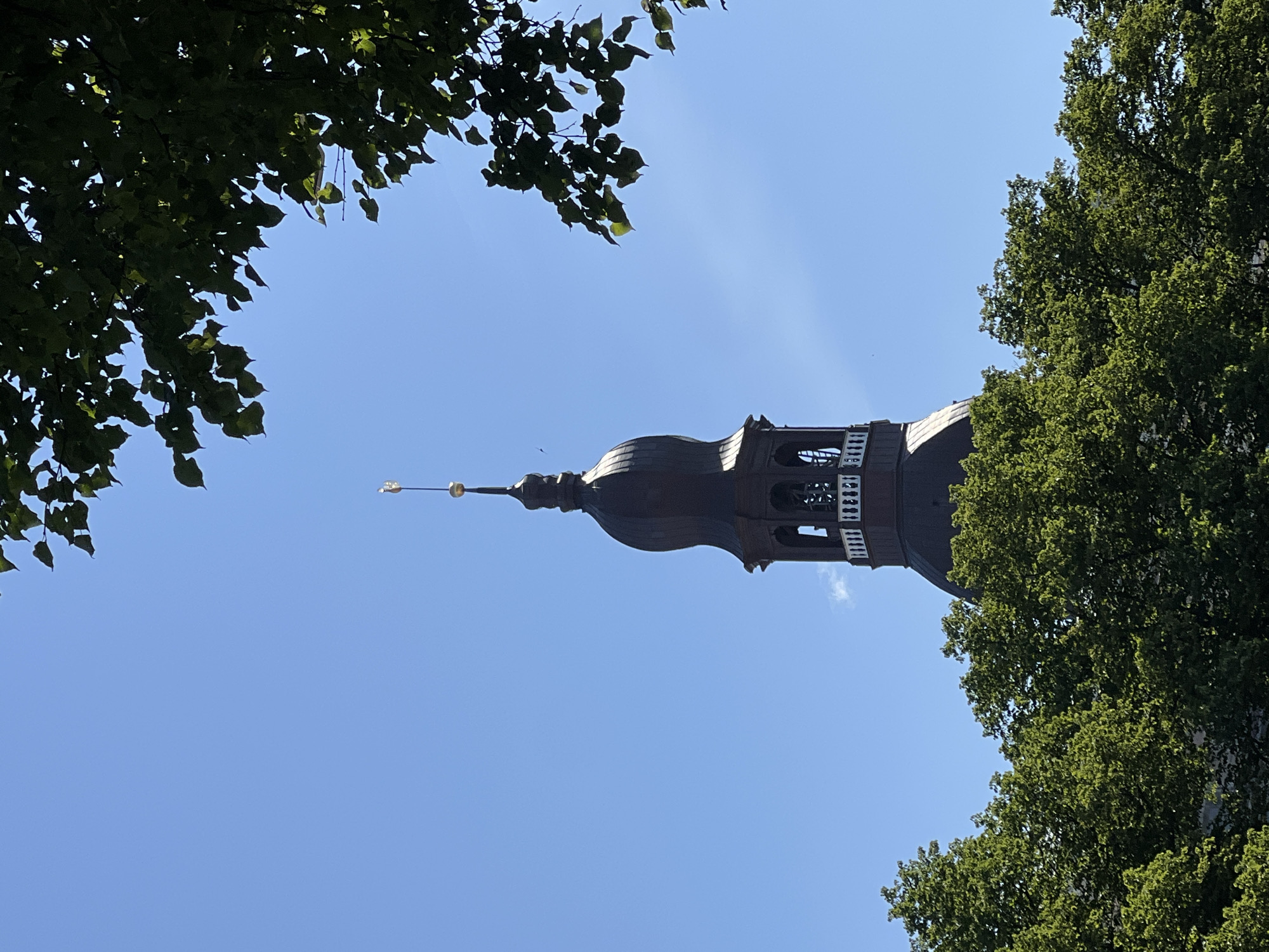 The image shows the top of the St. Peter's Church tower in Riga, Latvia, against a clear blue sky. Lush green trees frame the bottom and right sides of the scene. The tower itself is dark brown with a distinctive onion-shaped spire topped with a golden ball and weather vane. A white ornate railing is visible around the open belfry section of the tower. The lighting suggests it is daytime with bright sunlight. There are no people visible in the frame.