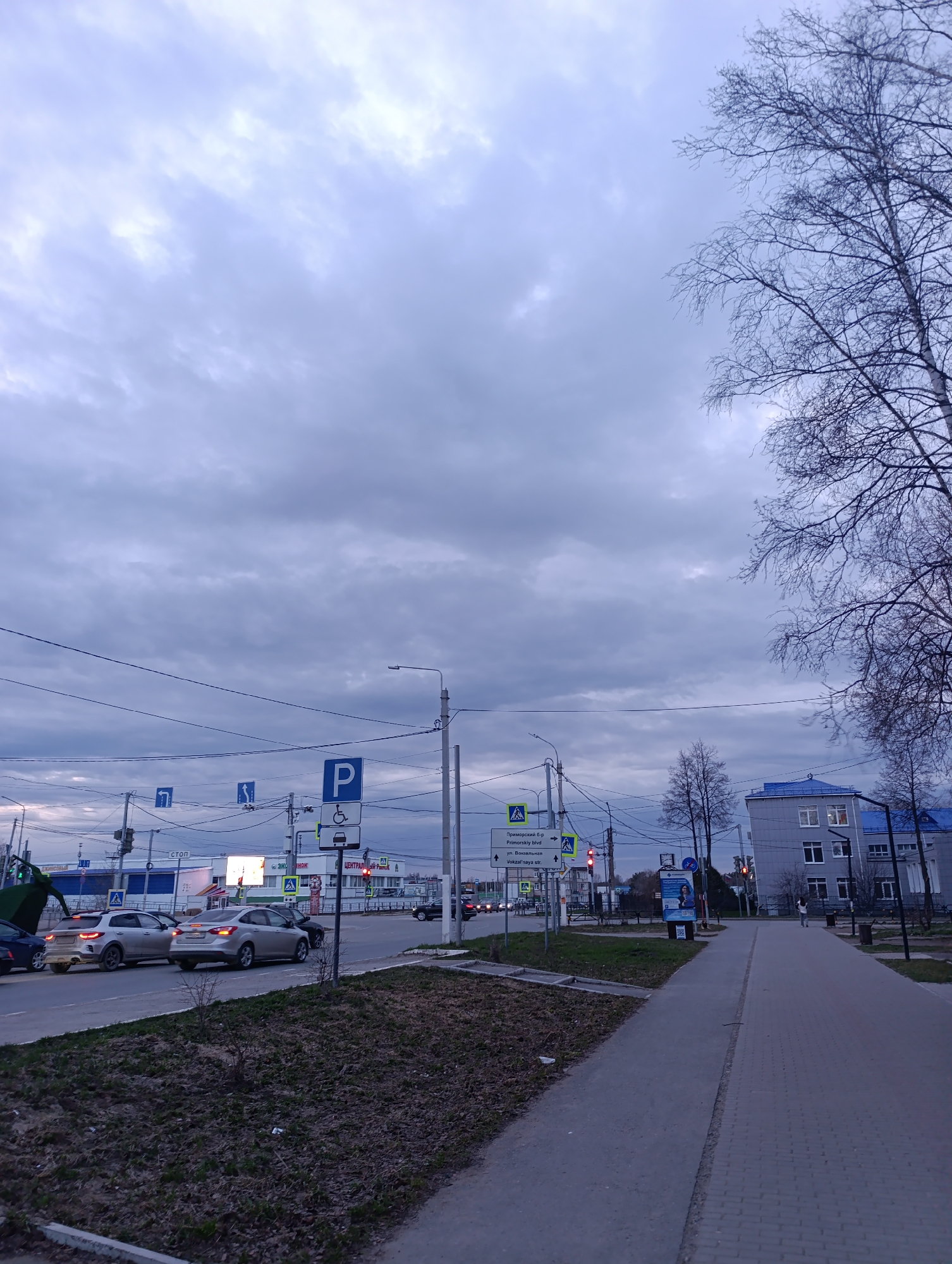 The image depicts a street scene in the city of Chaikovsky, Russia. The sky is overcast with gray clouds, suggesting a cool or potentially rainy day. In the foreground, there is a sidewalk made of gray pavers, stretching along the right side of the frame. Adjacent to the sidewalk is a patch of ground covered with dry leaves and sparse vegetation.
On the left side of the image, a road with vehicular traffic is visible. Several cars, predominantly silver in color, are present, with their taillights illuminated, indicating that the photo was taken at dusk or during a period of low light. Numerous traffic signs and streetlights line the road, contributing to the urban environment. One sign features a "P" symbol, indicating parking, along with an icon representing accessibility for individuals with disabilities. There is also a sign, written in Russian, that includes references to Primorskiy blvd (Primorskiy boulevard) and Vokzalnaya str (Vokzalnaya street).
A two-story building with a blue roof can be seen in the middle-ground on the right, giving a hint of residential or public use. Bare branches of trees extend into the upper-right corner of the frame, indicating that it is likely late autumn or early spring.
