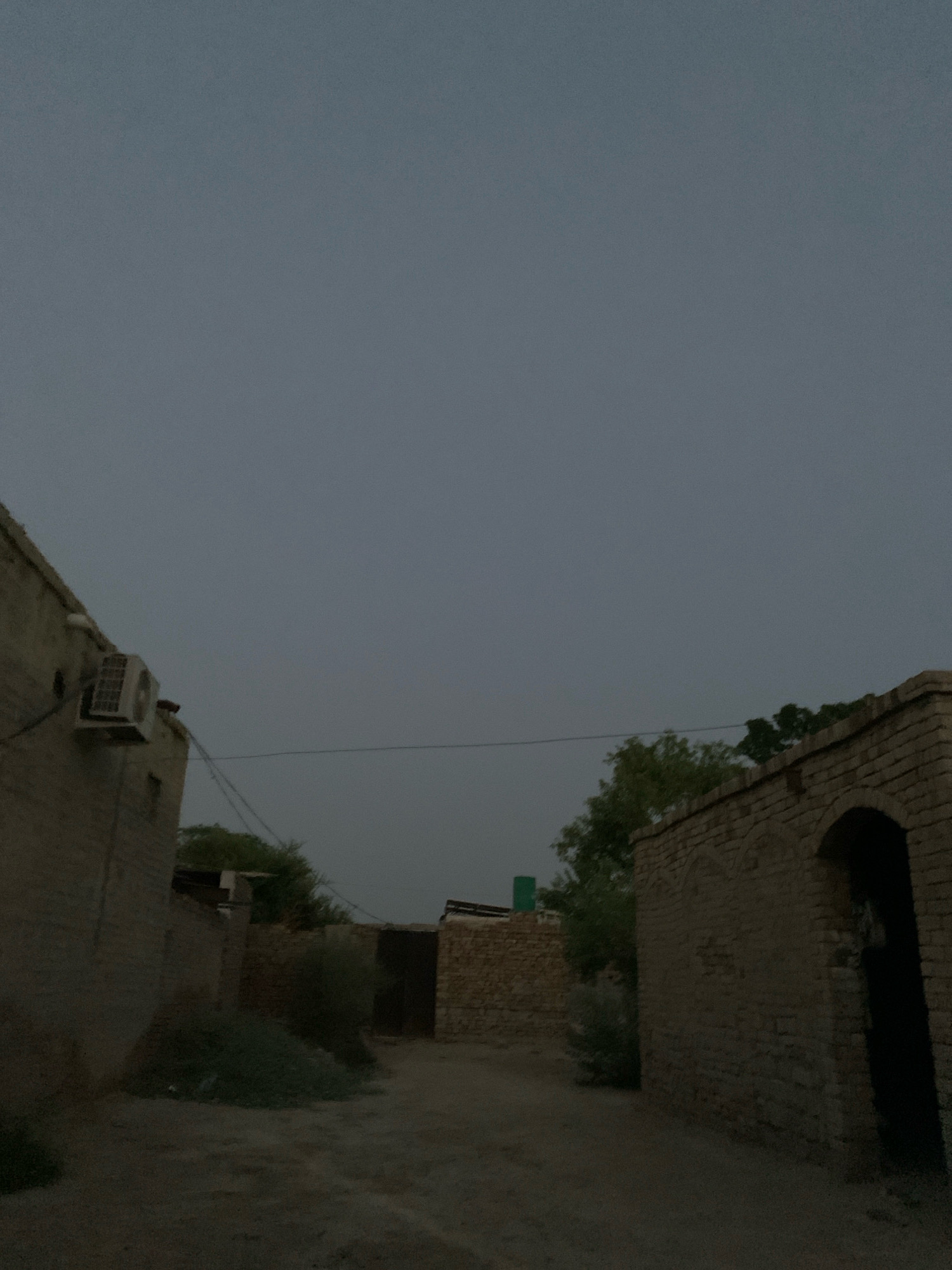 The image depicts a narrow, unpaved alleyway in a rural or semi-rural area, possibly in the city of Rajanpur, Pakistan. The scene is dimly lit, suggesting it might be dusk or dawn. On the left, a brick building with an air conditioning unit mounted on its exterior wall is visible. On the right, another brick structure with an arched doorway is present. Vegetation, including bushes and trees, is scattered throughout the scene, with a noticeable pile of green foliage in the foreground of the left building. The ground is covered in dirt and dust. The sky is overcast and a pale grey. The overall impression is one of a quiet, unpopulated, and somewhat weathered environment.